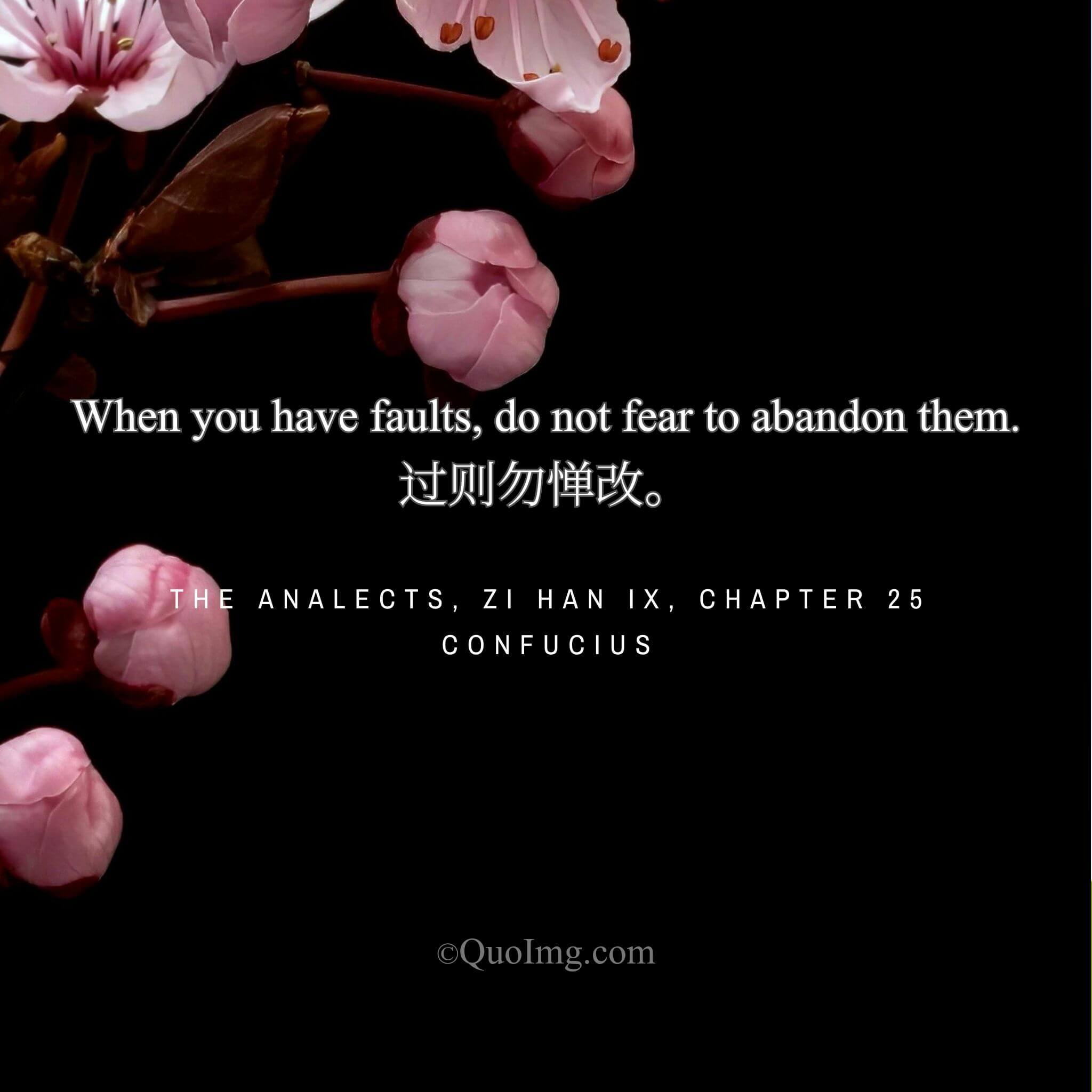 Confucius said: When you have faults, do not be afraid to correct them.