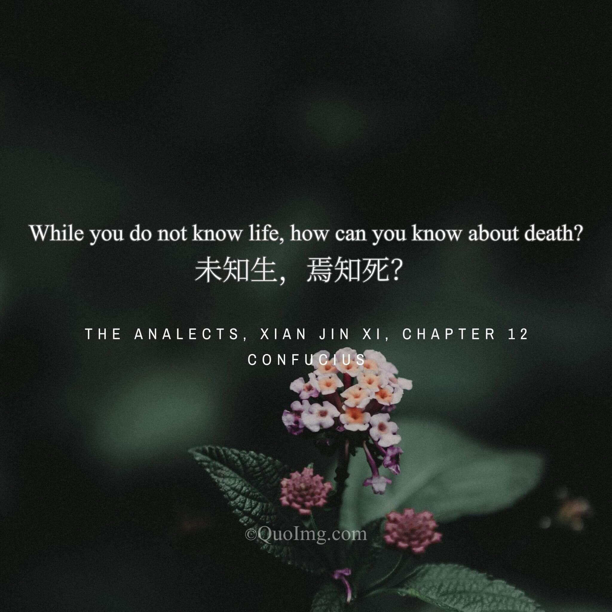 Confucius said: “If you do not understand life, how can you understand death?”