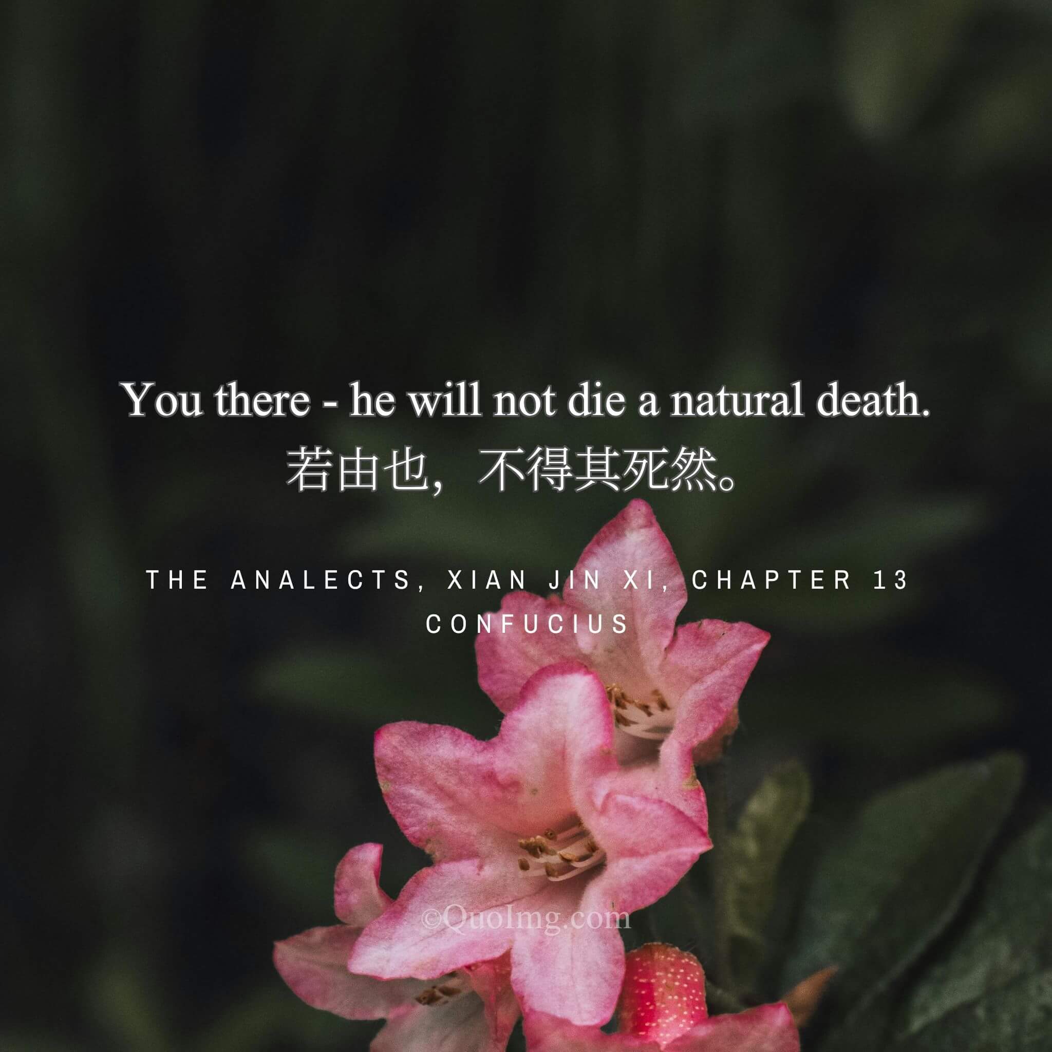 A Fatal Prophecy: “He Will Not Die a Natural Death”