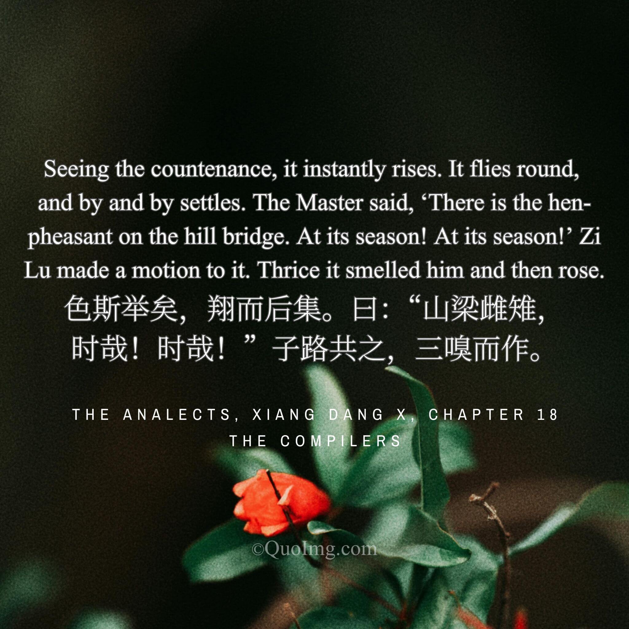 The Pheasant, the Sage, and the Disciple: A Final Lesson on Seizing the Moment