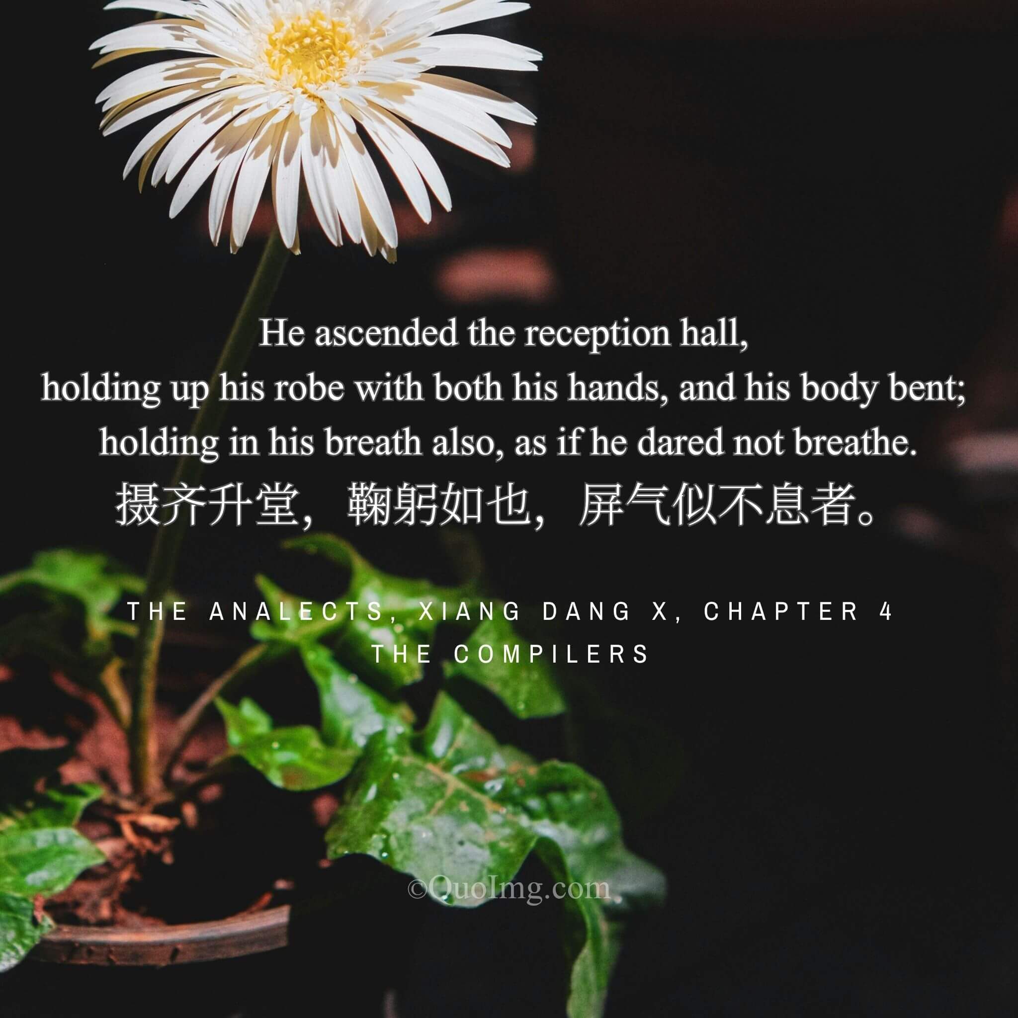 The Ascent in Silence: A Body Holding Its Breath in Awe