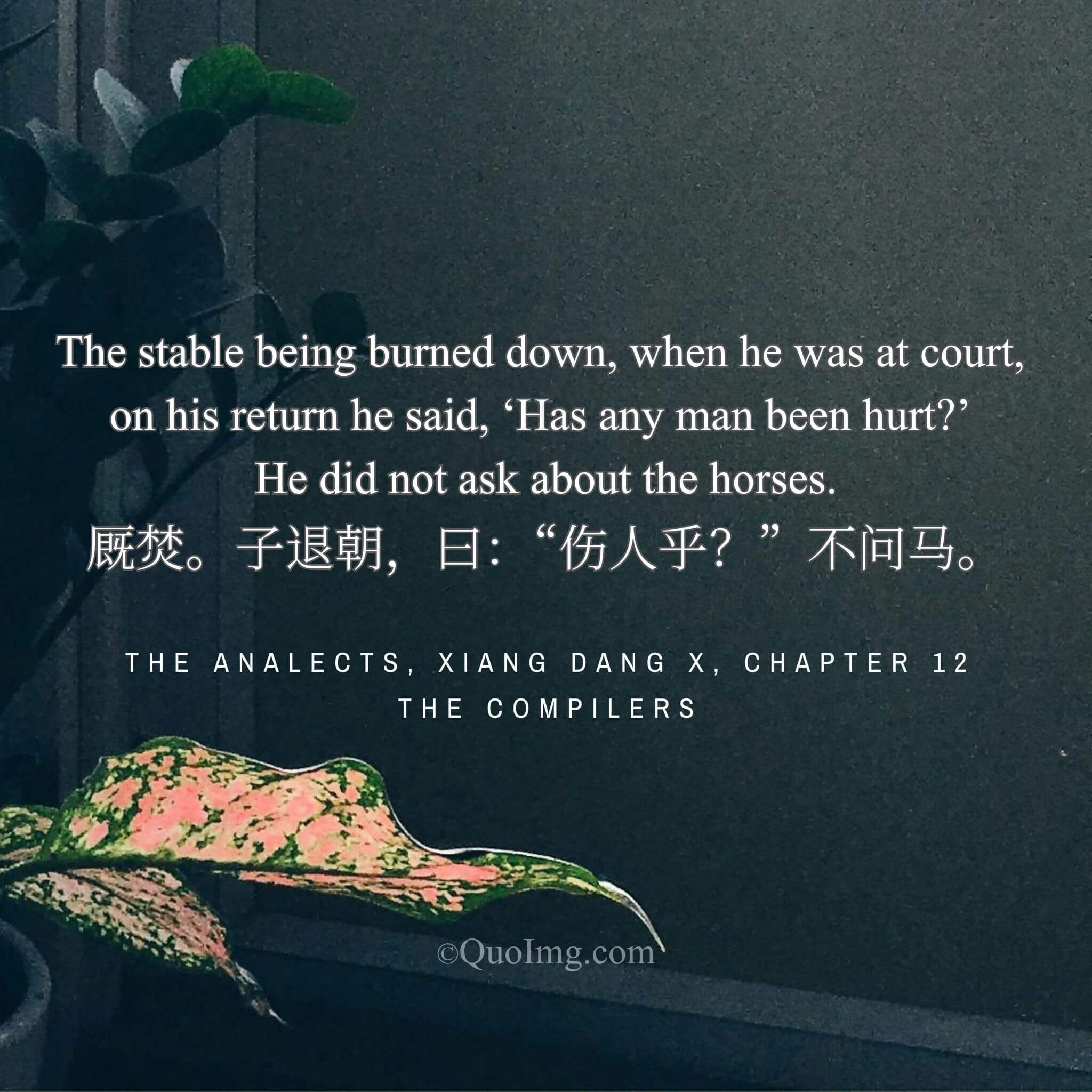 The Burning Stable: A Question of Men, Not Horses