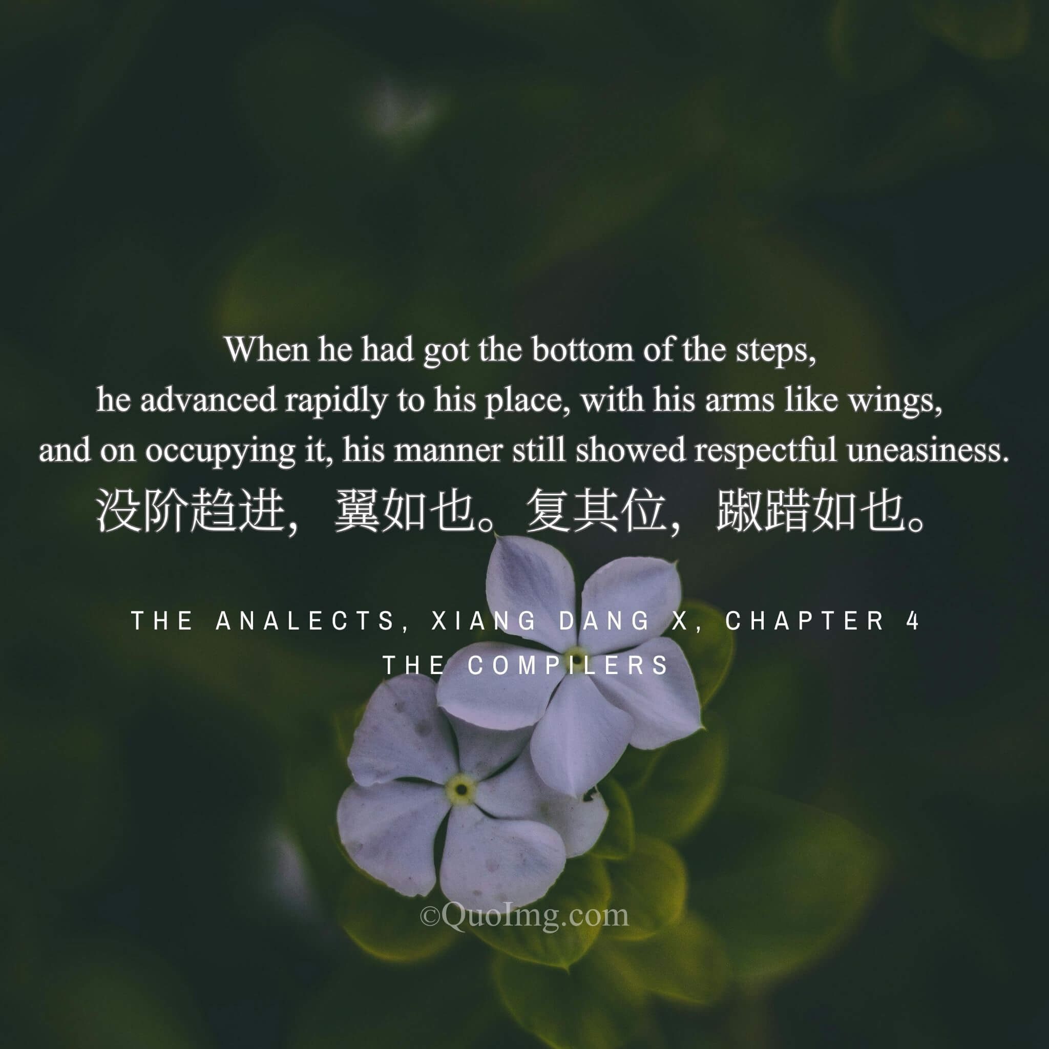 Reaching the bottom, he hurried to his place, arms like wings; seated, he still appeared reverently uneasy.