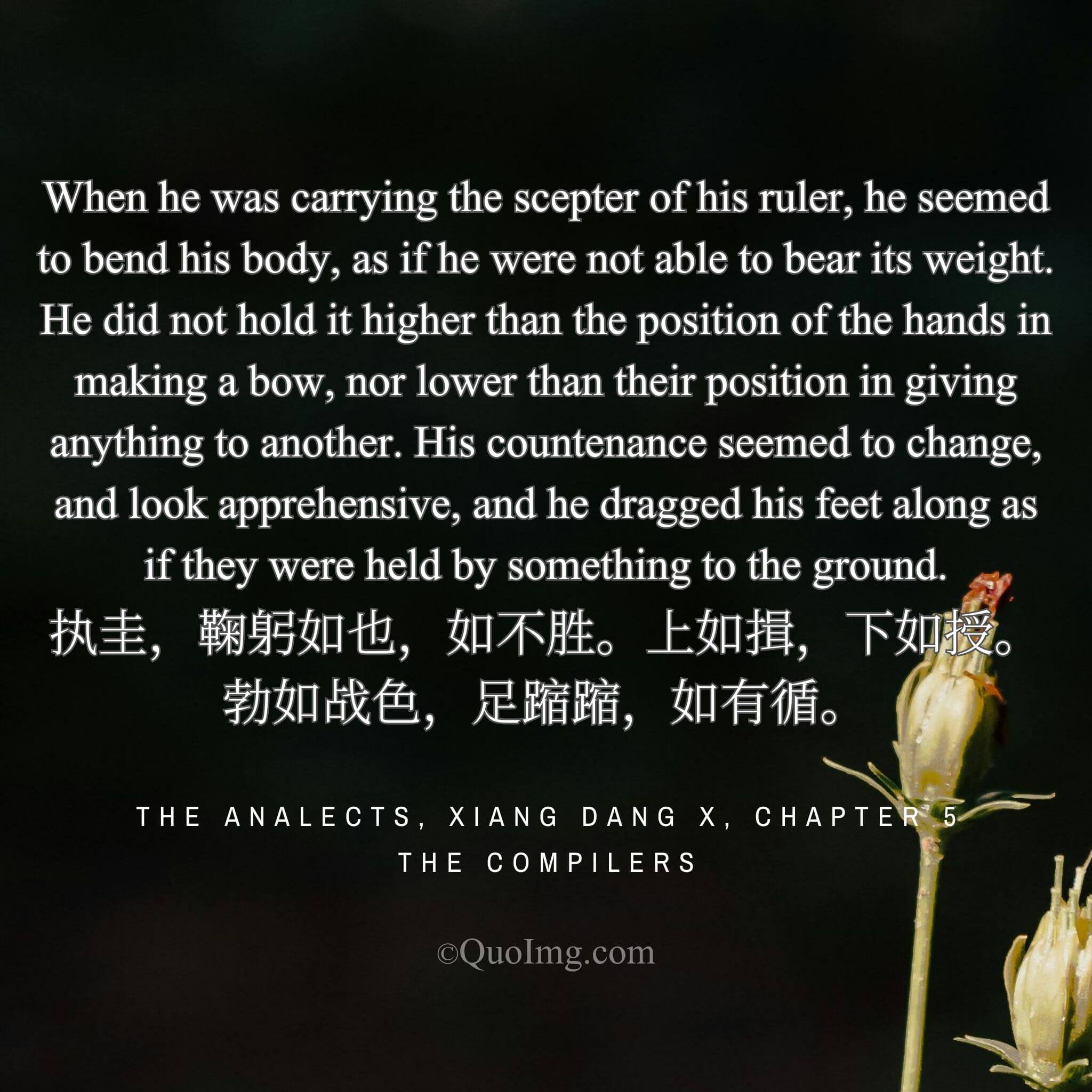 The Weight of the Scepter: When a Body Becomes the Protocol