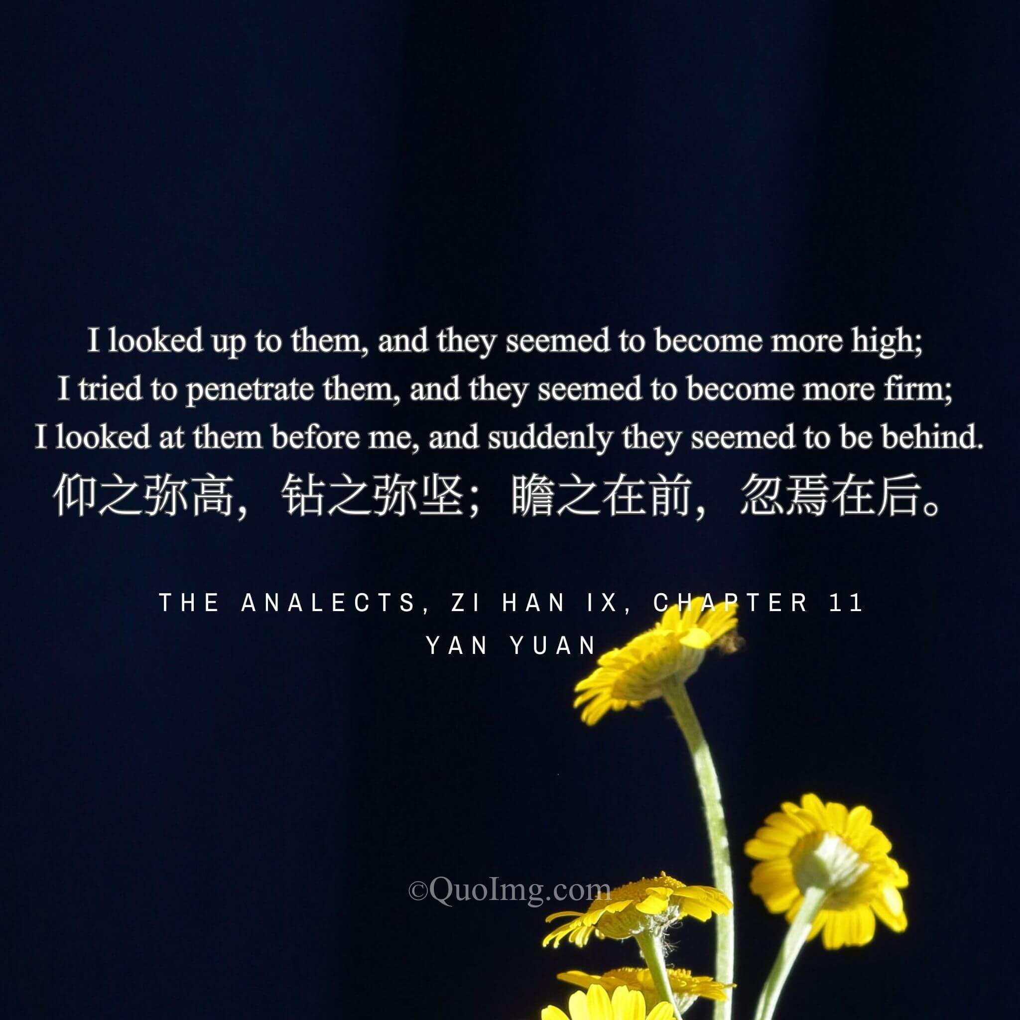 The Unfathomable Summit: A Disciple’s Gaze Upon the Master’s Way