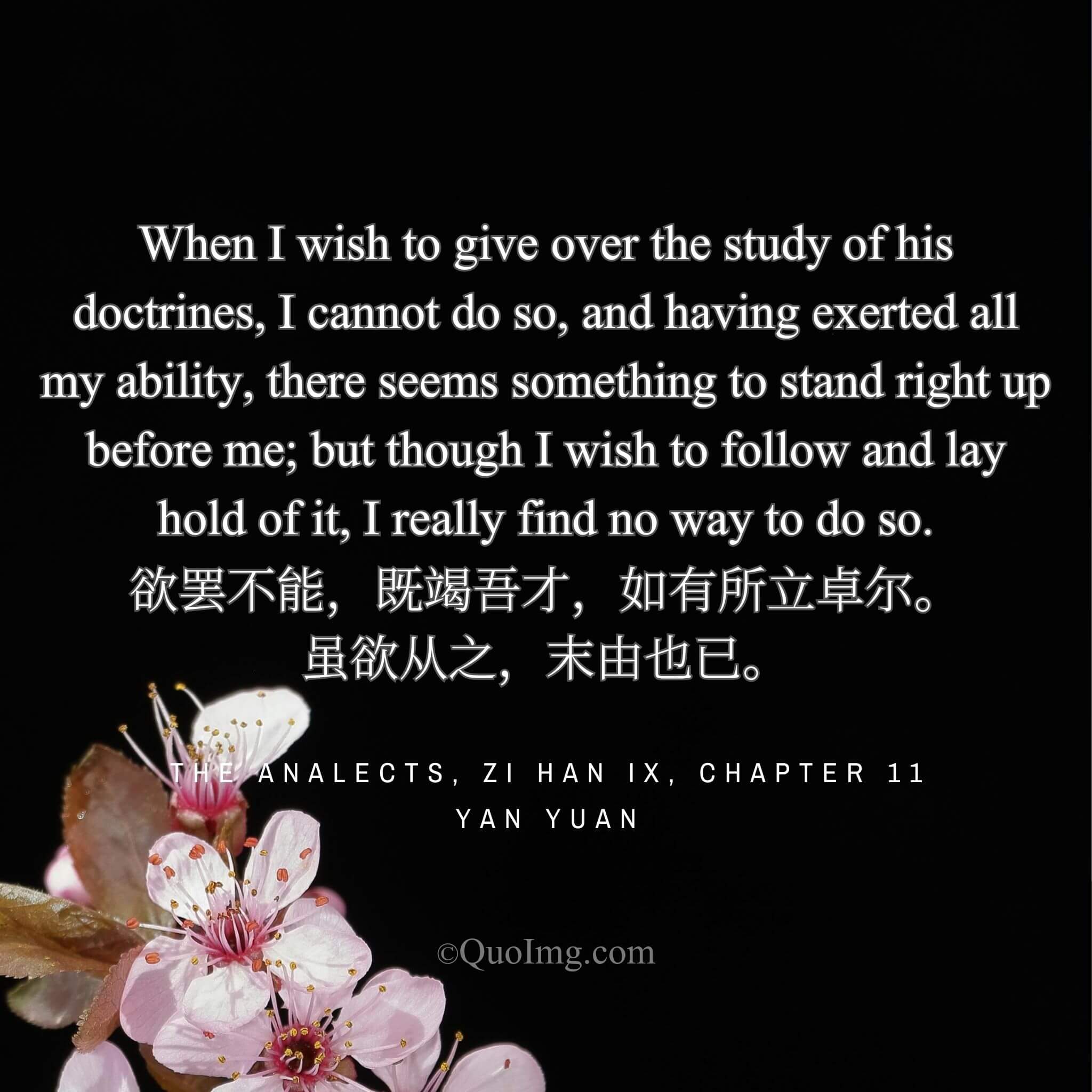 Yan Yuan said: I cannot stop studying; having exhausted my talent, something seems to stand lofty before me. Yet though I wish to grasp it, I find no way.