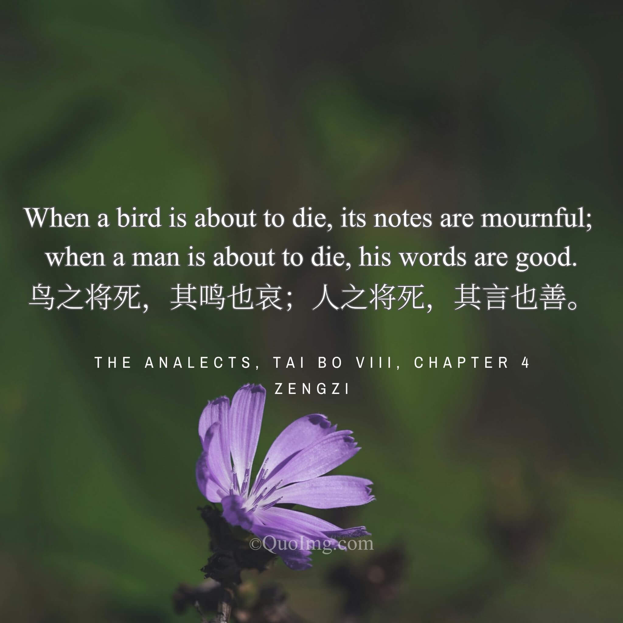 Zengzi said: A dying bird’s song is sorrowful; a dying man’s words are good.