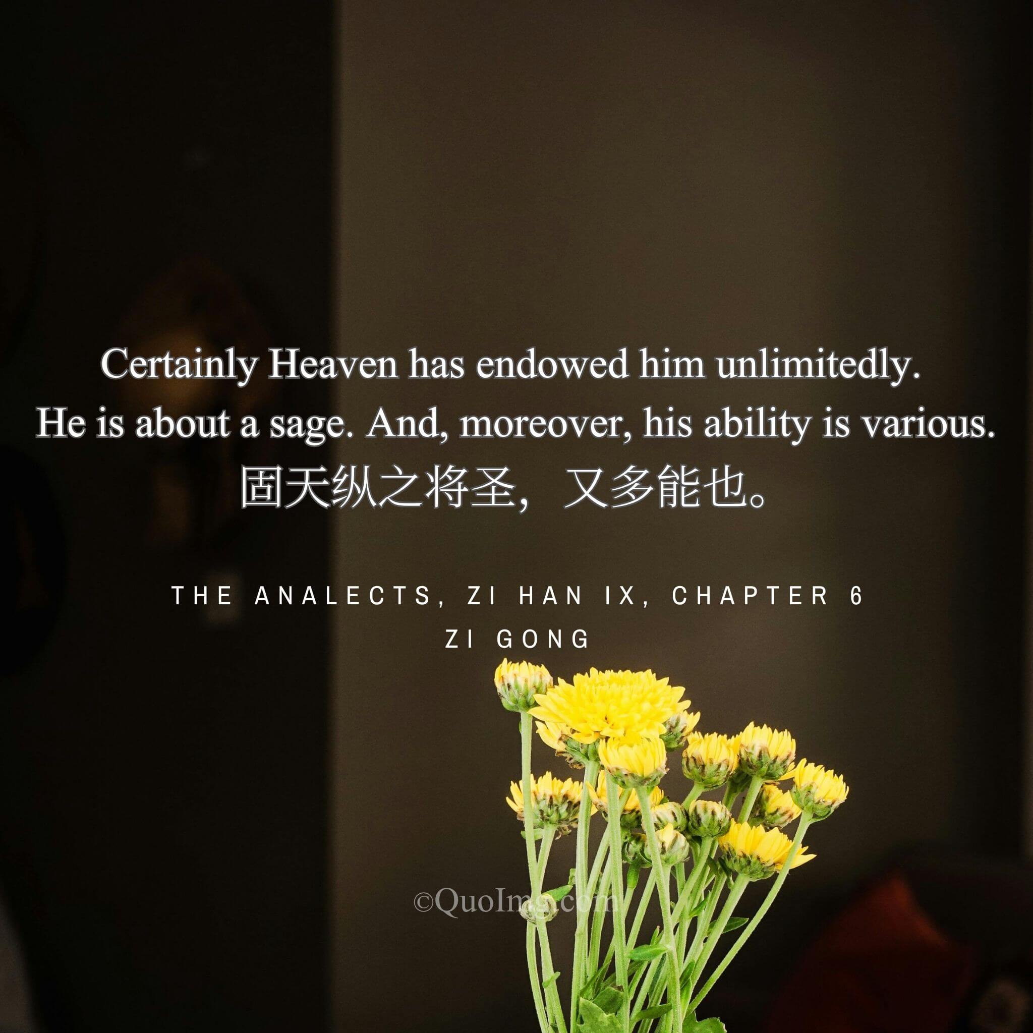 The Divine Download: A Disciple’s View of Heaven-Sent Sagacity and Skill
