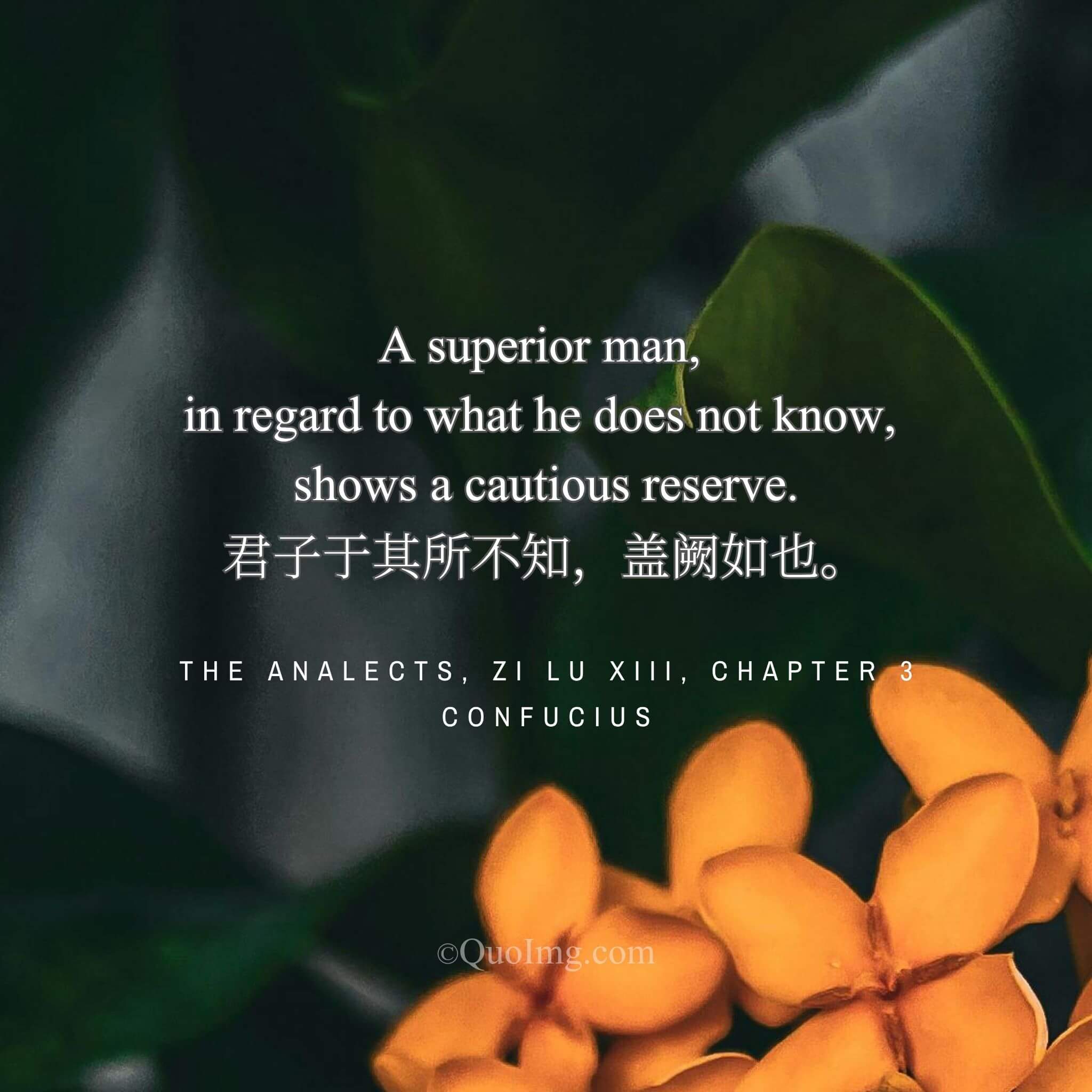 The Prudence of the Wise: Reserved in What One Does Not Know