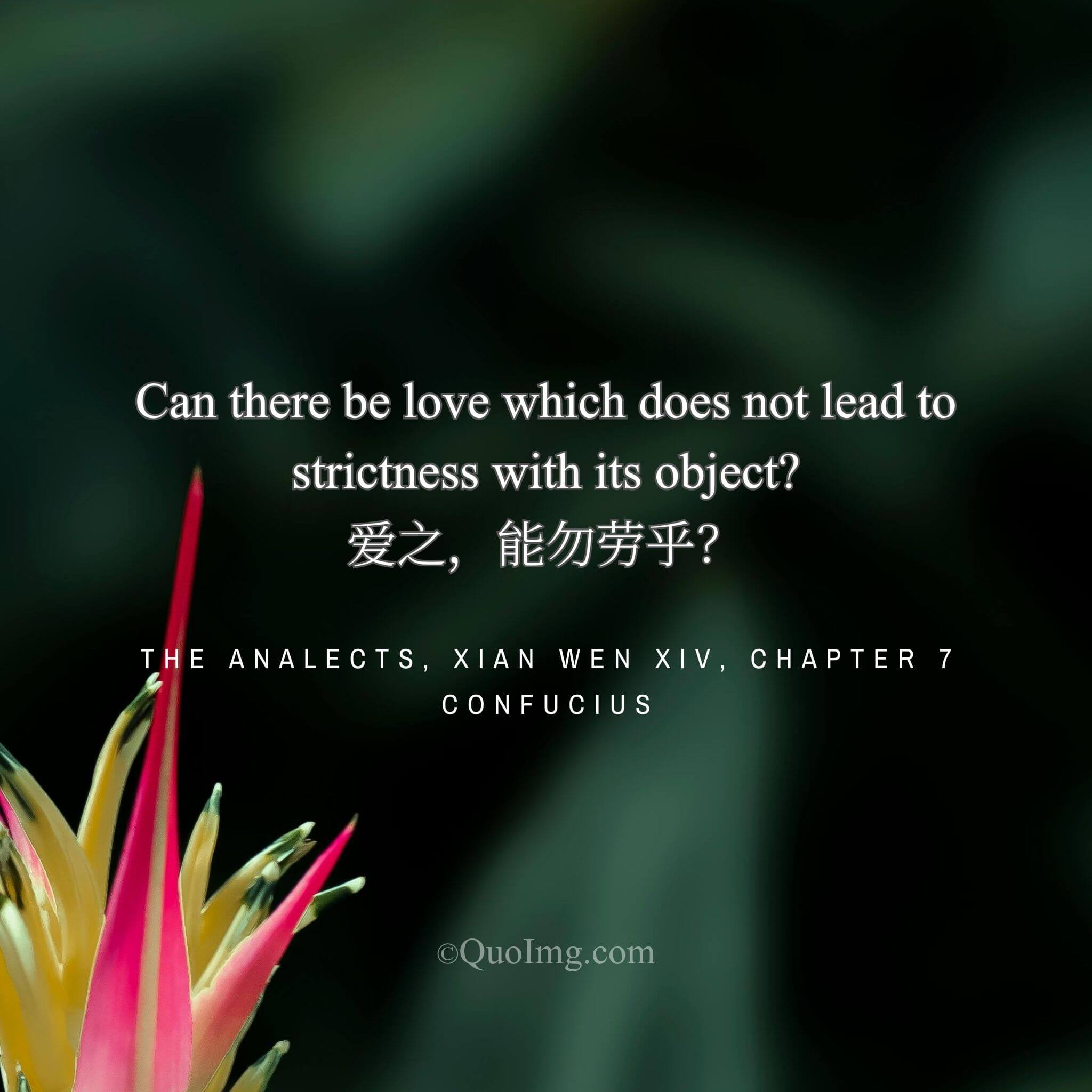 The True Meaning of Love: “To Love, Can One Avoid Imposing Toil?”