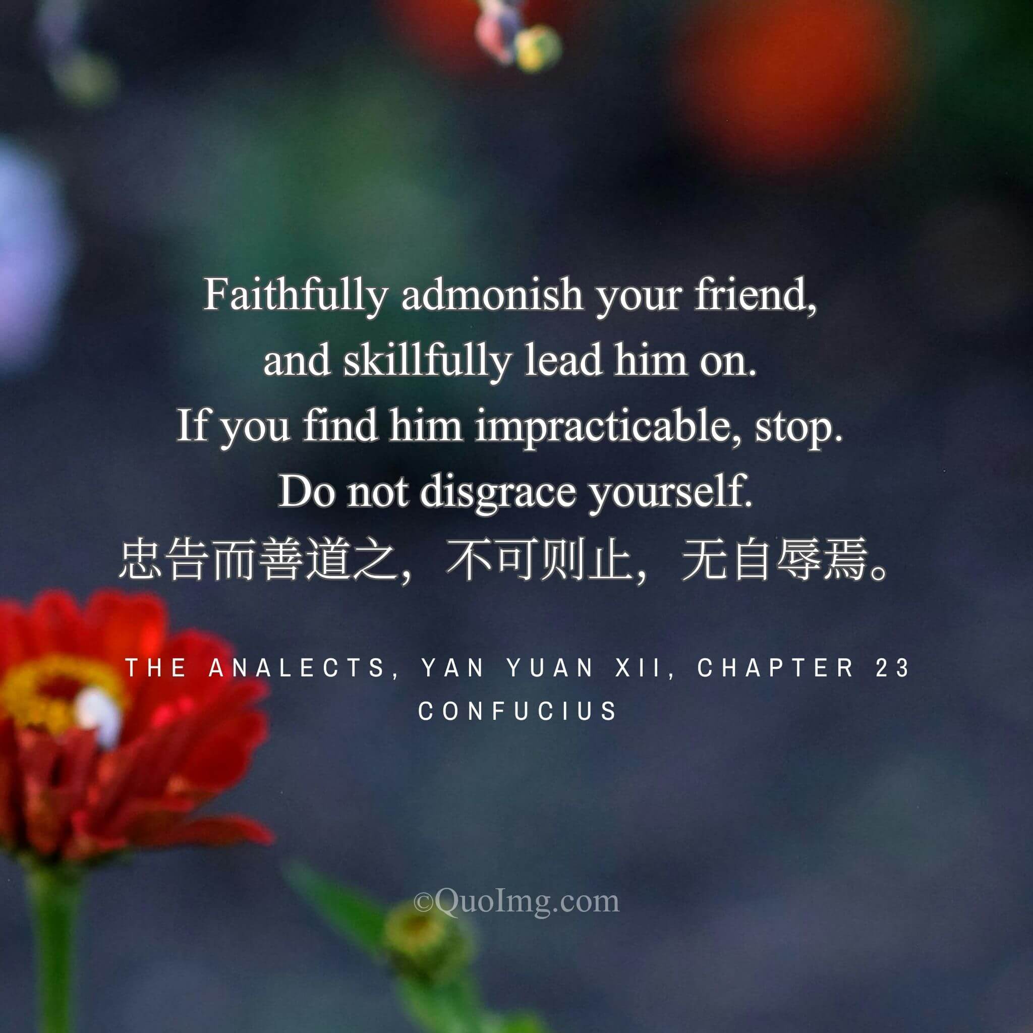 The Art of Friendship: Faithful Admonition, Timely Stop