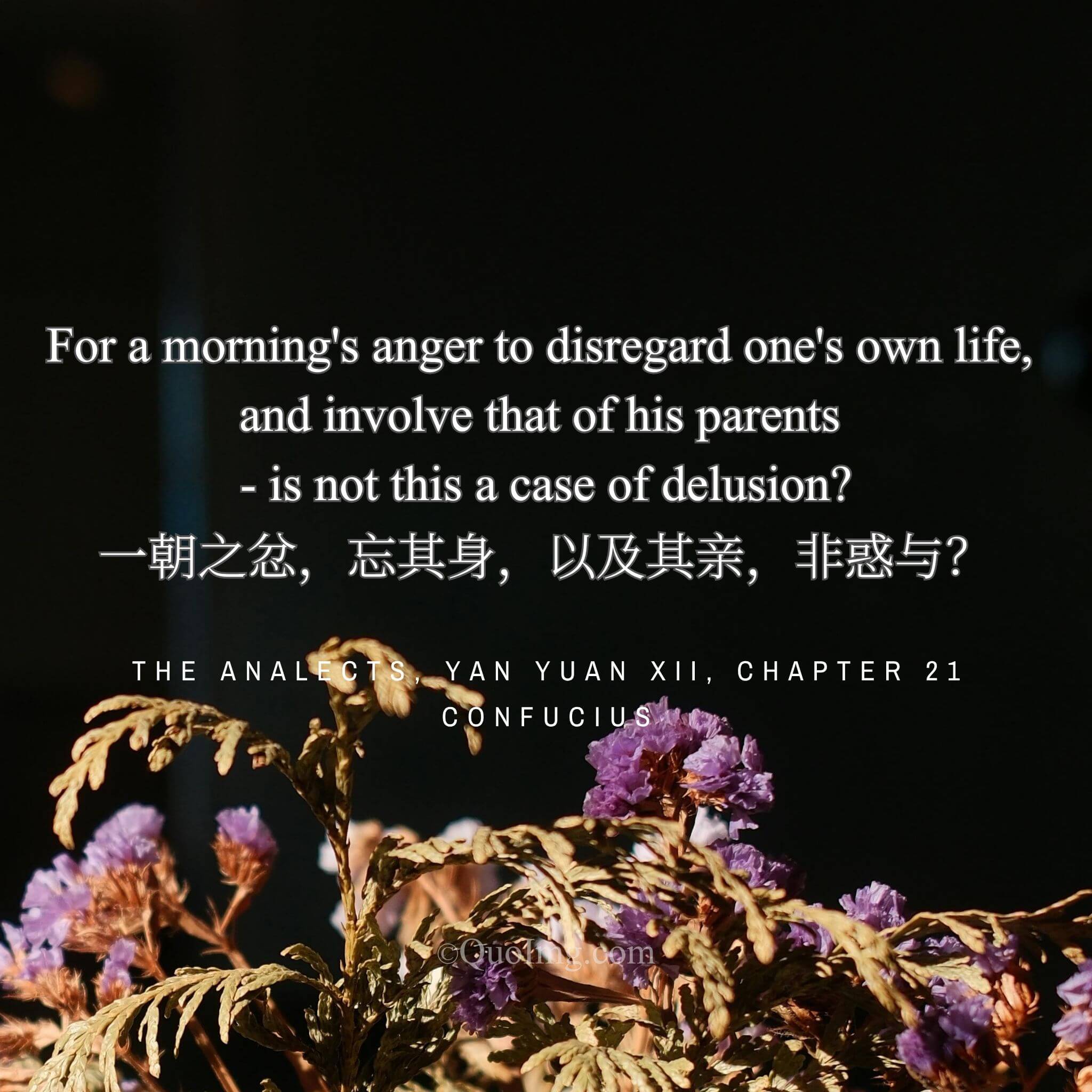 The Height of Delusion: When Momentary Anger Overwhelms Life