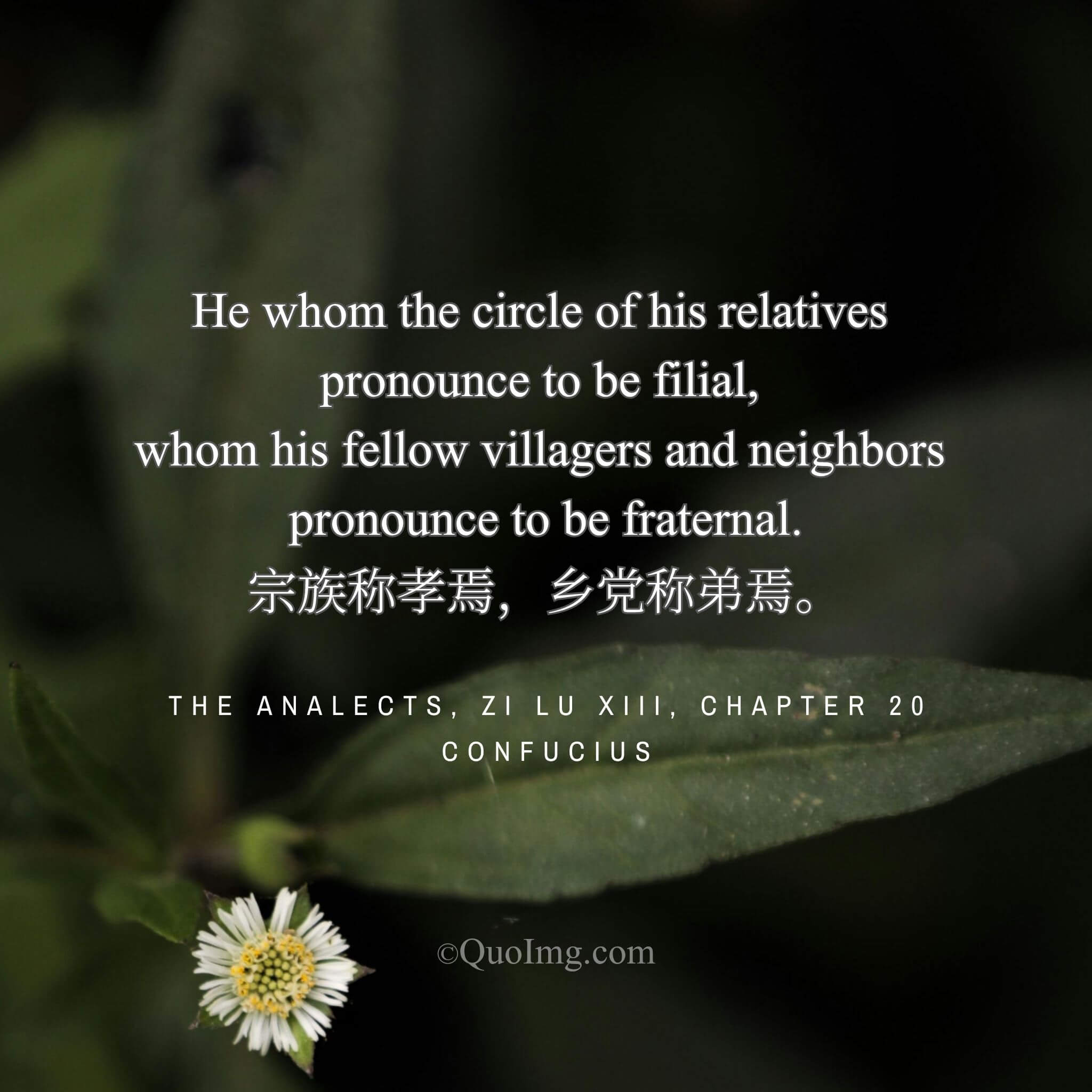 The Local Worthy: Praised for Filial Piety and Fraternal Duty