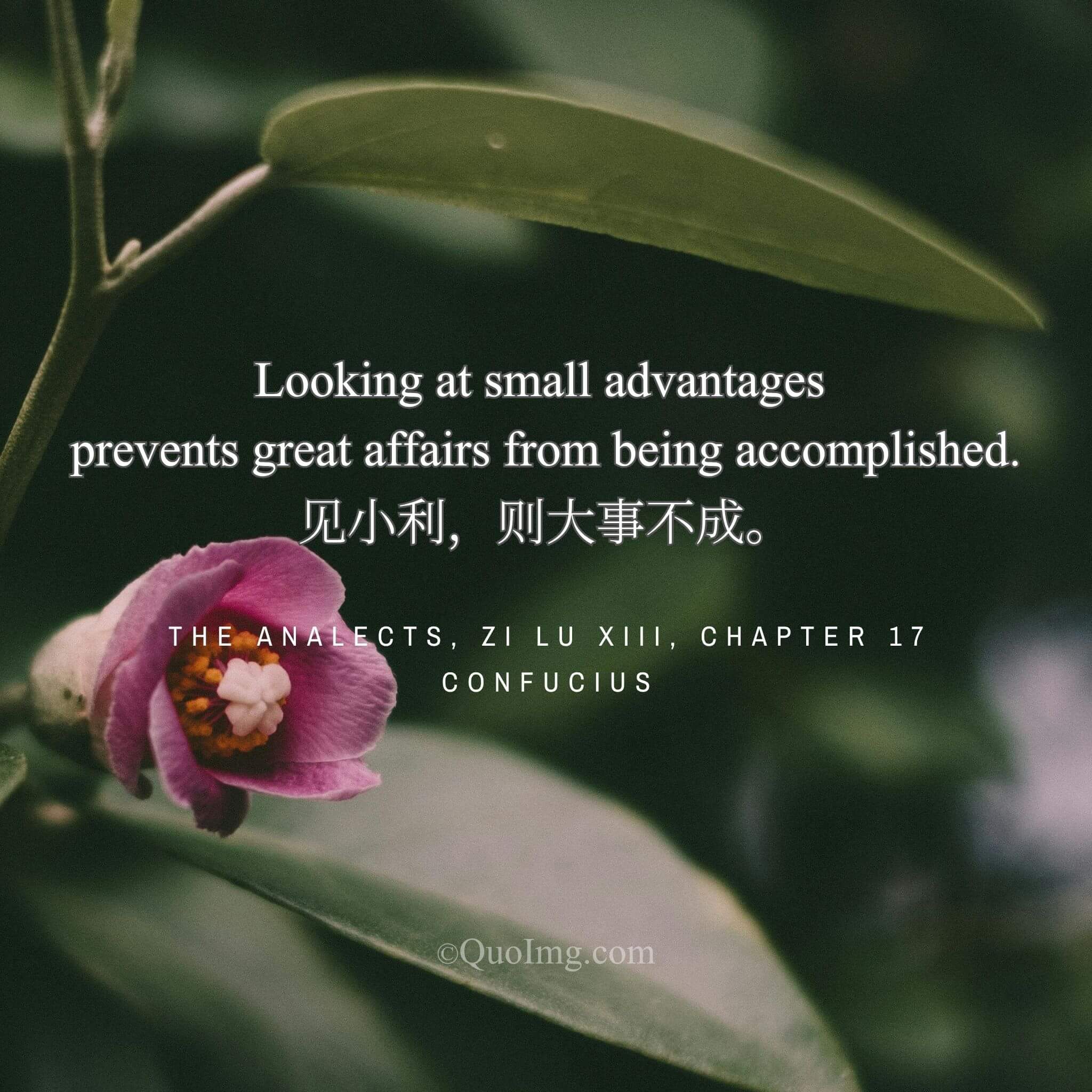  Confucius said: “Focusing on small gains ruins great enterprises.”