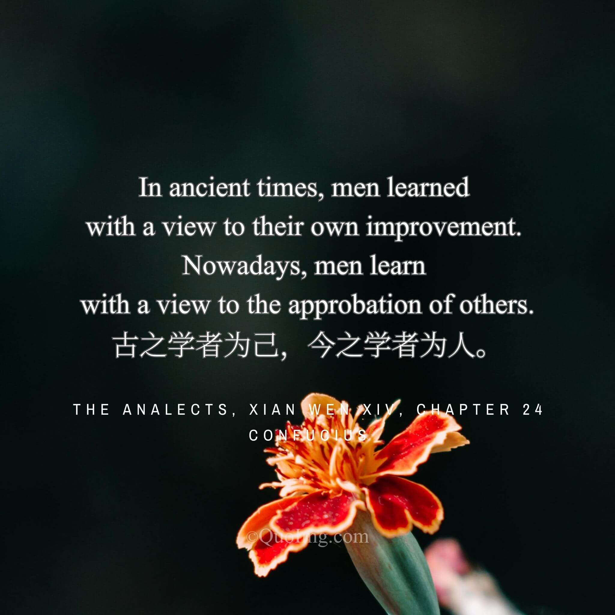 The Purpose of Learning: “The Ancients Learned for Themselves, the Moderns Learn for Others”
