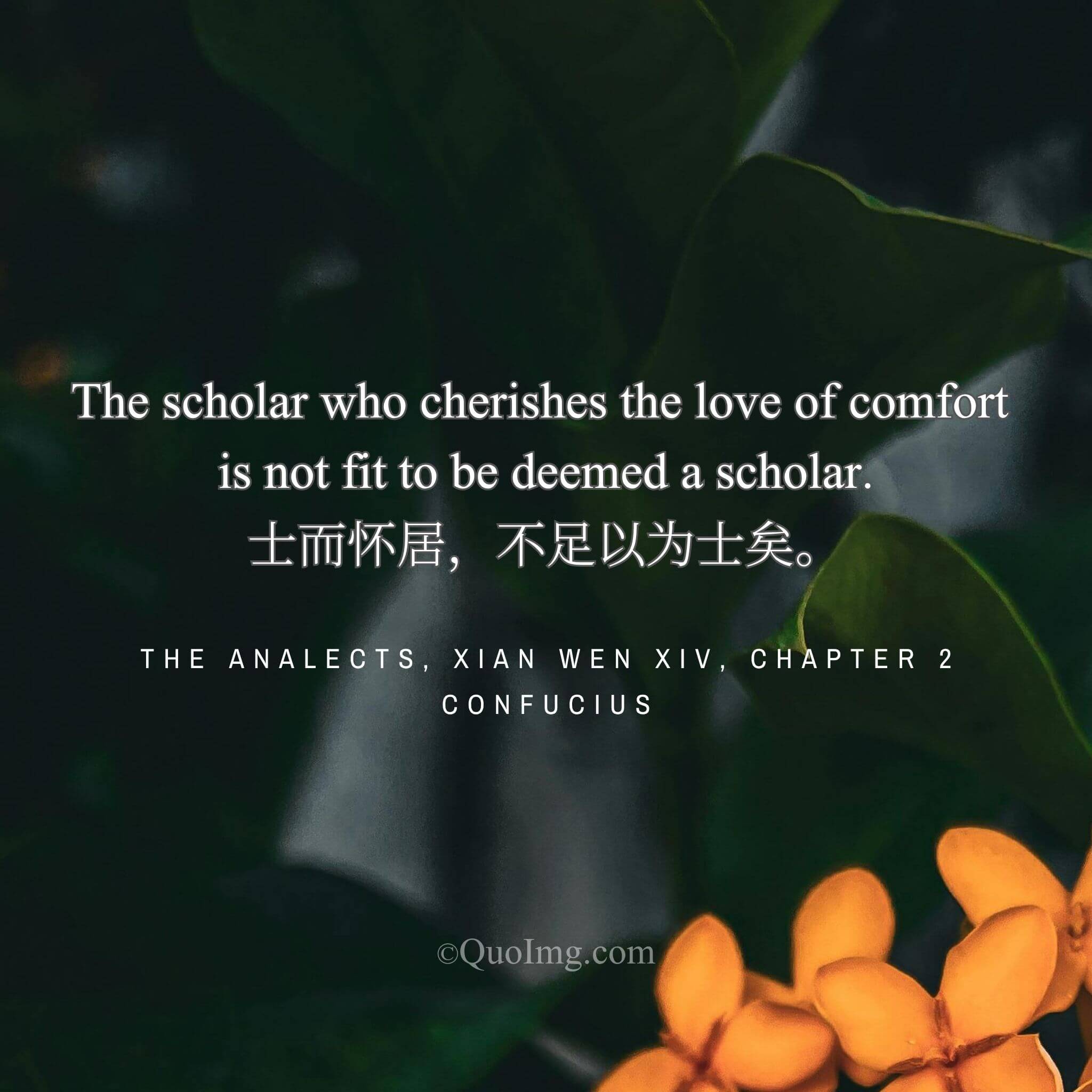 The True Scholar: “He Who Cherishes Comfort Is Unfit to Be a Scholar”