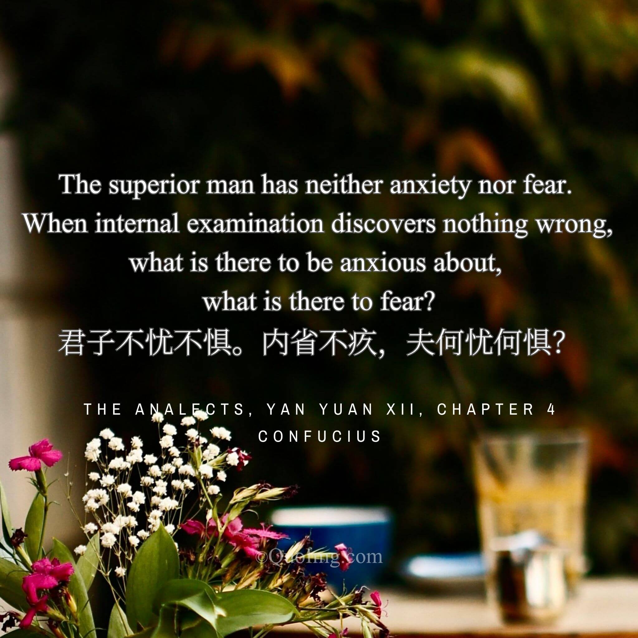 The Undisturbed Mind: No Anxiety, No Fear, for the Self-Examination Finds No Fault