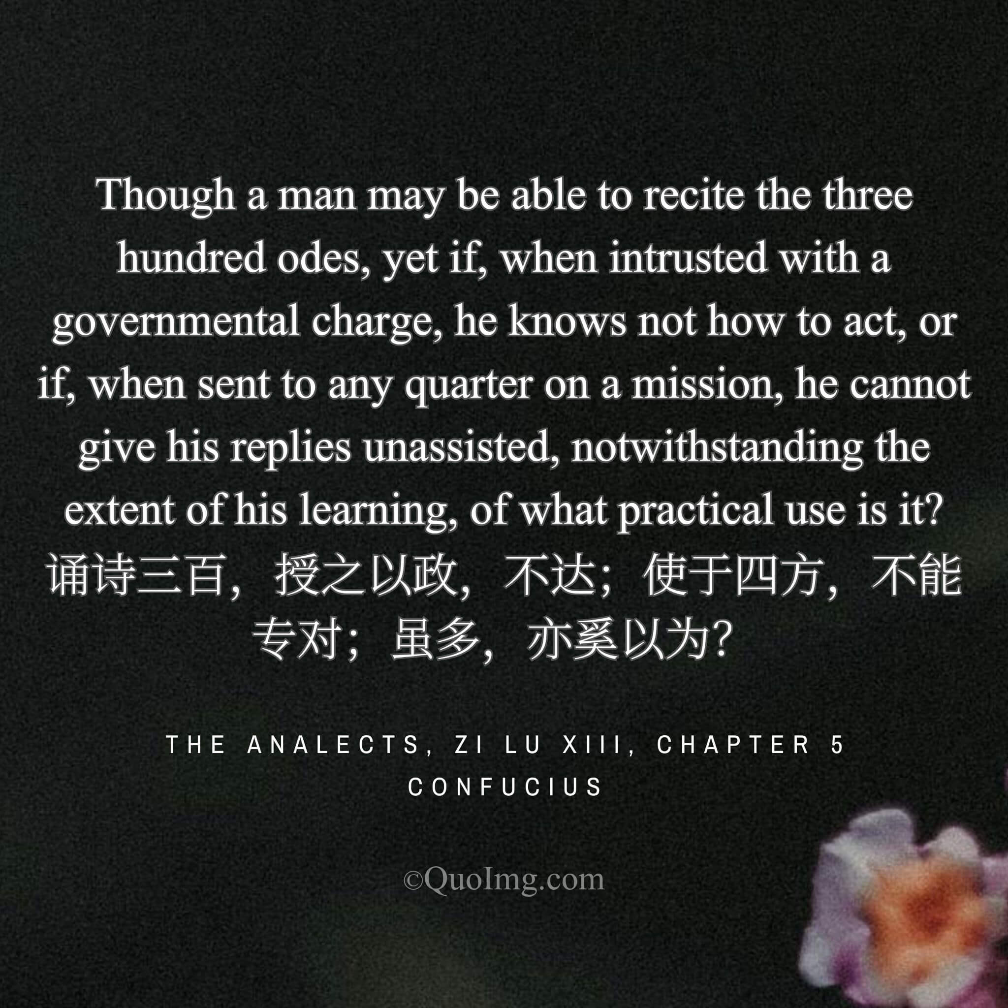 The Futility of Learning: When Knowledge Fails in Practice