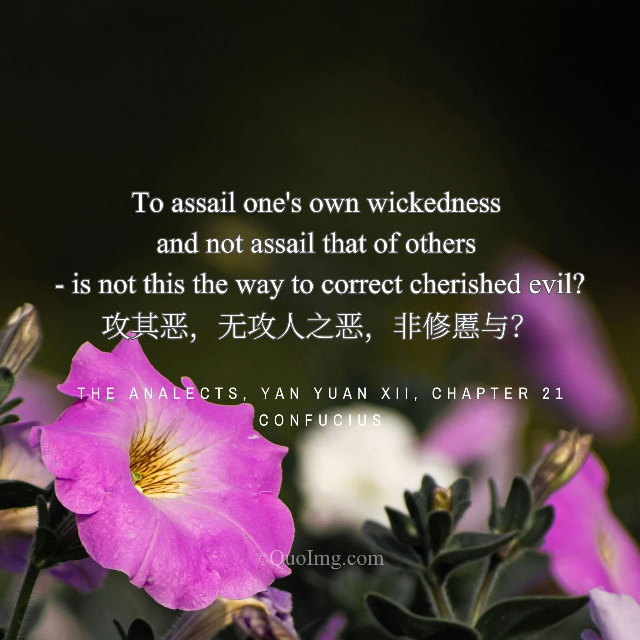 Confucius said: “Is it not the way to correct your own faults to assail your own wickedness and not that of others?”