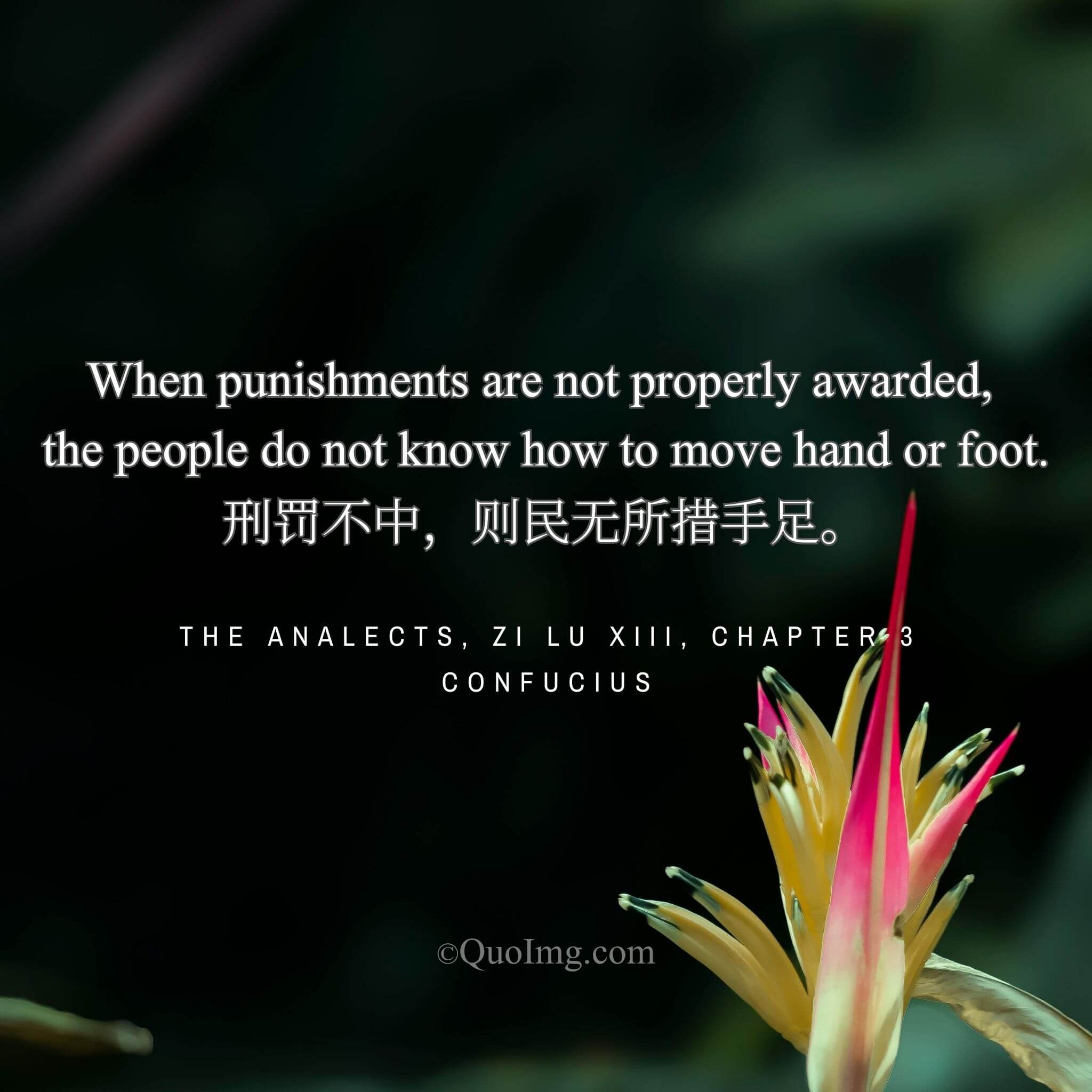 The People’s Confusion: When Punishment is Unjust