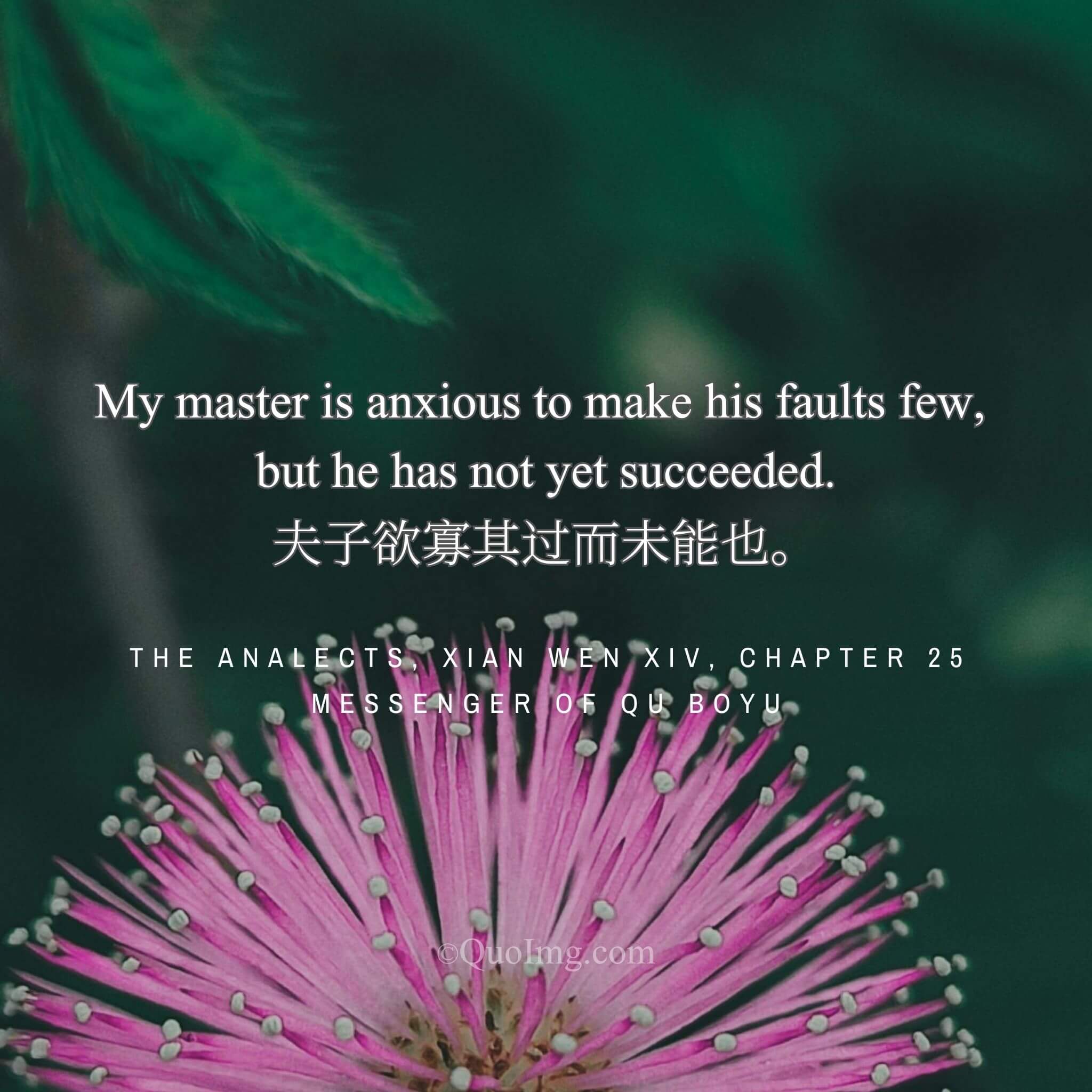 The Unending Task: “My Master Wishes to Reduce His Faults, But Has Not Yet Succeeded”