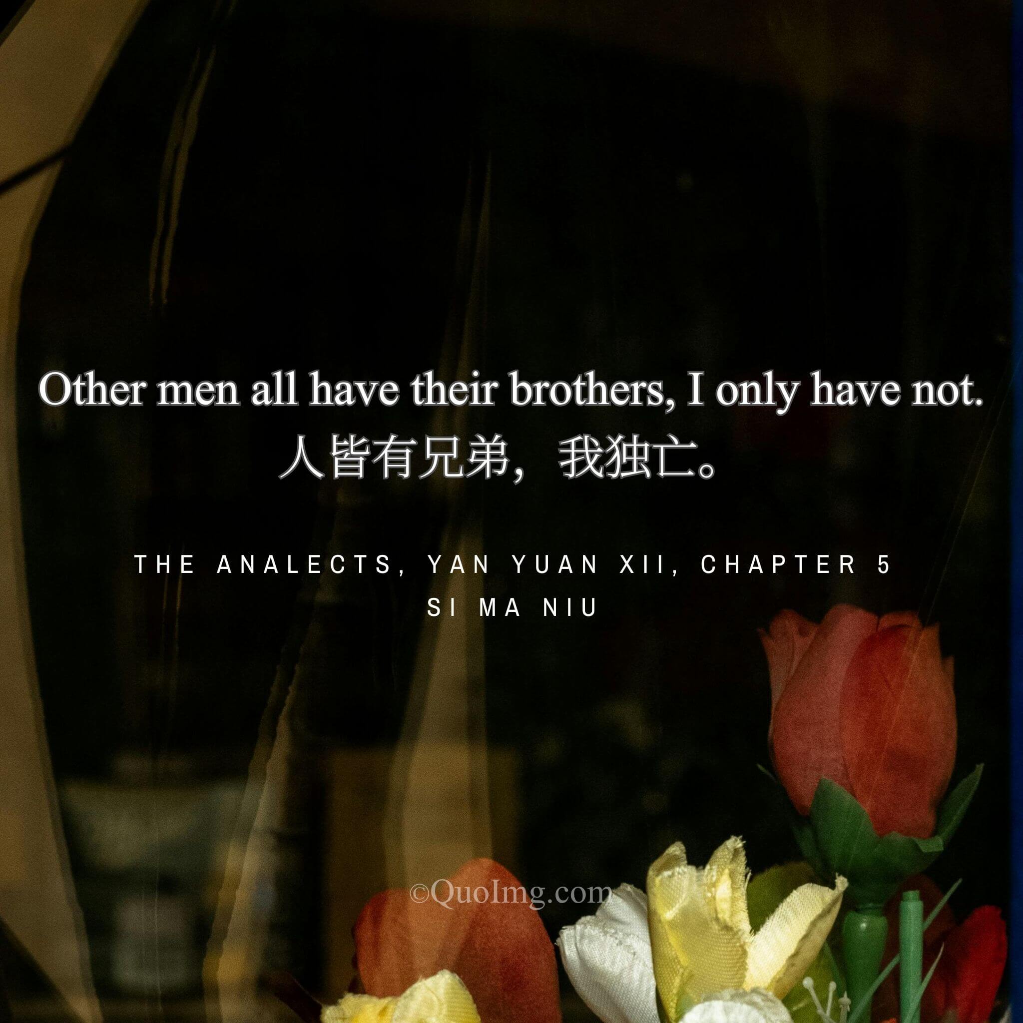 The Cry of Loneliness: “Others All Have Brothers, I Alone Have None”