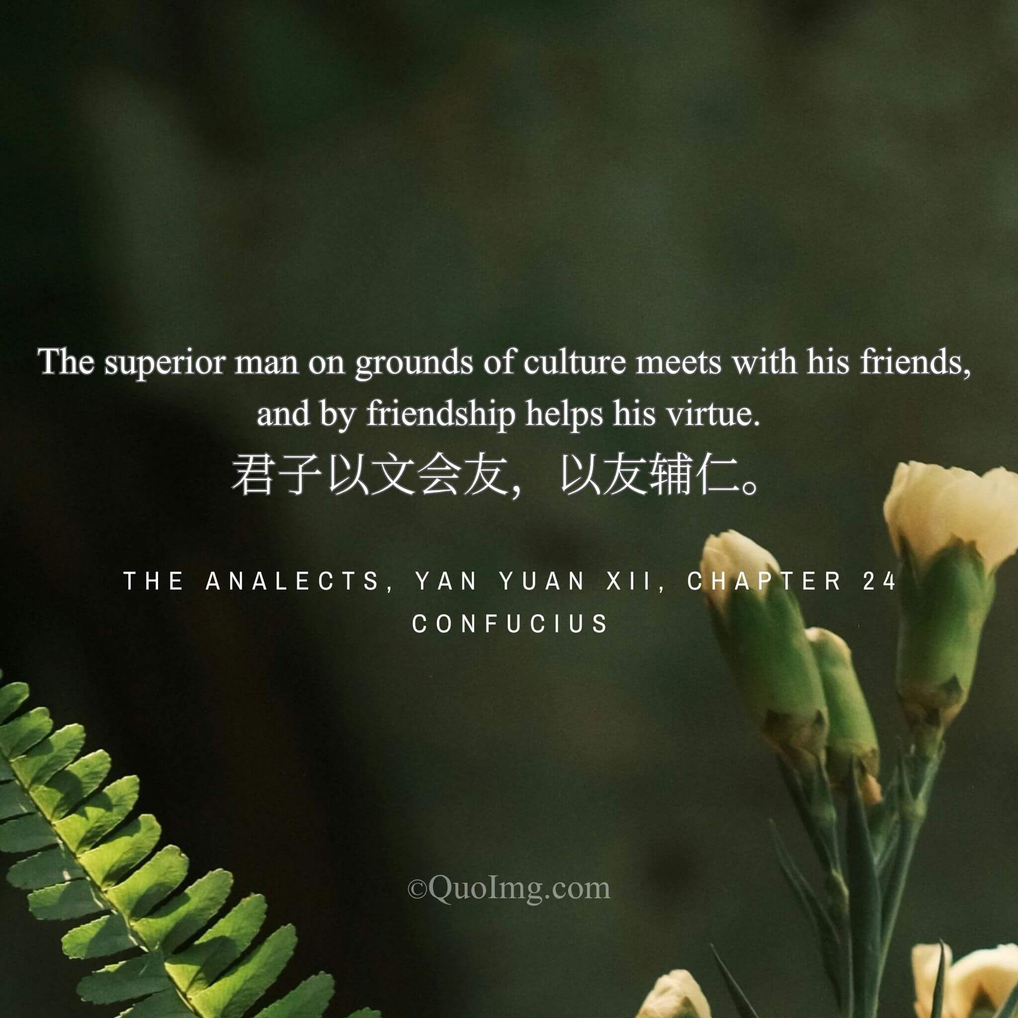 The Superior Man’s Friendship: Meeting Through Culture, Growing in Virtue