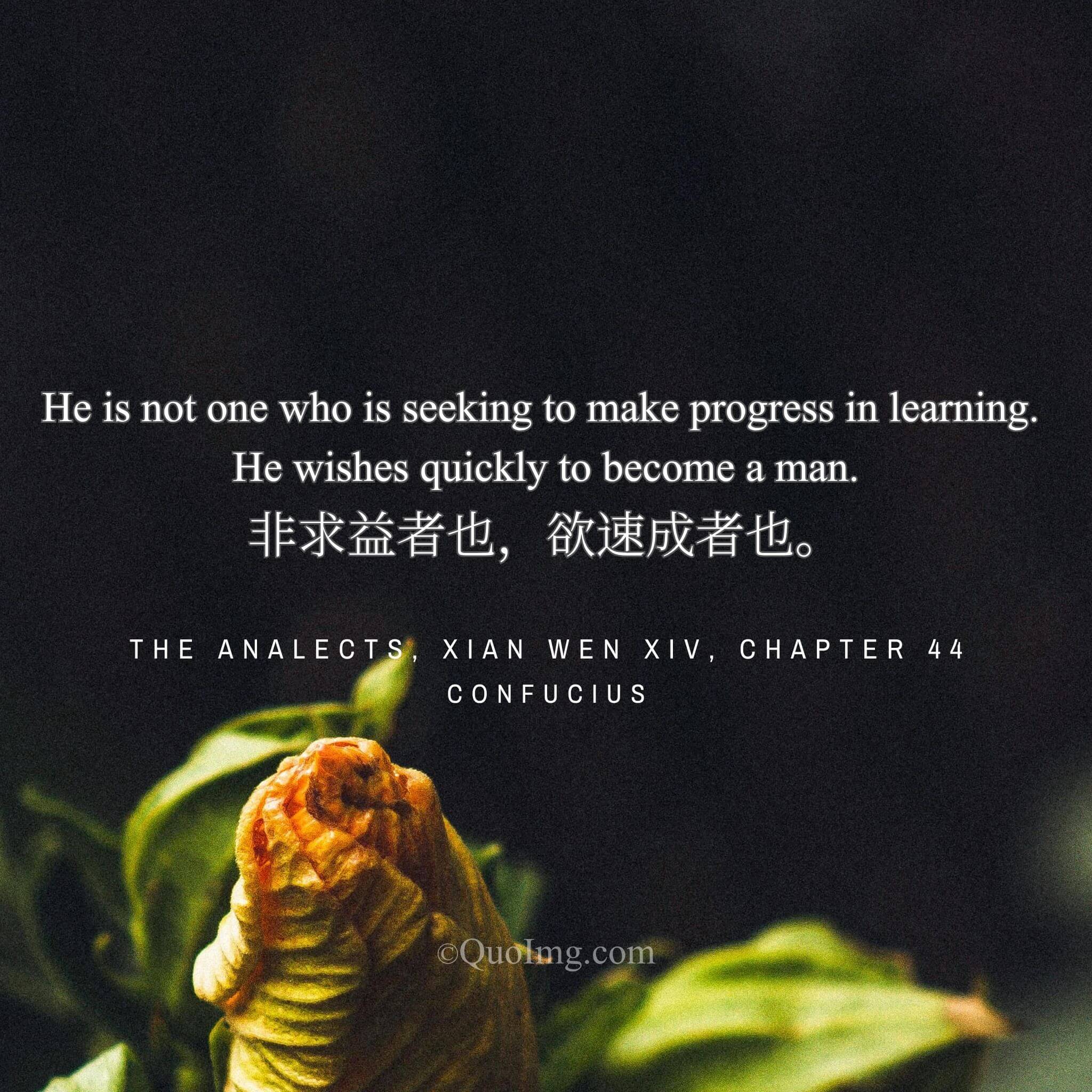 Two Paths: “Seeking Improvement” vs. “Craving Quick Success”