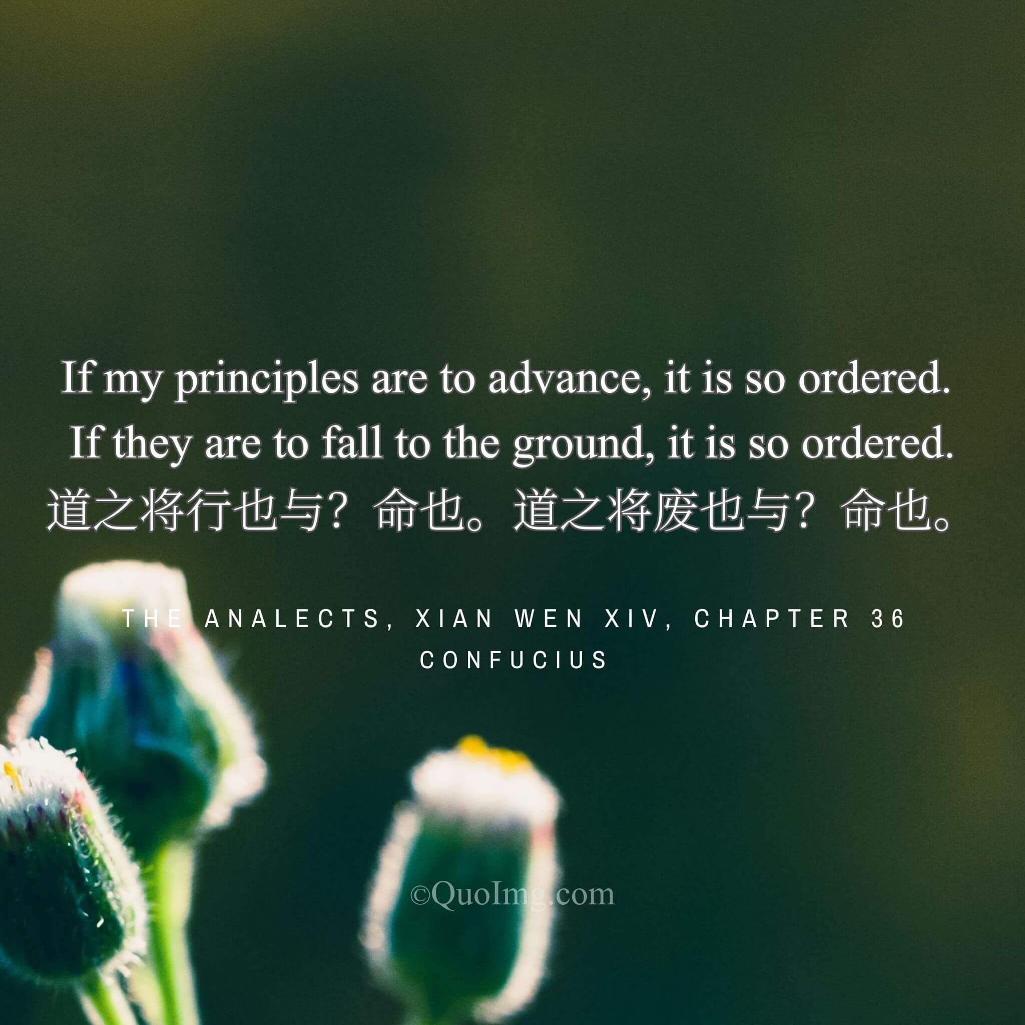 Confucius said: “Whether the Way prevails or fails, that is Heaven’s decree.”