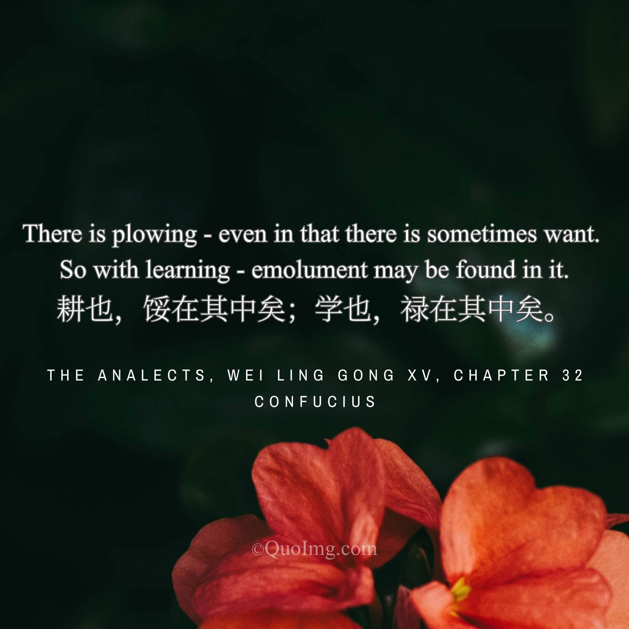 Confucius observed: “Plowing may still lead to hunger; learning can bring emolument.”