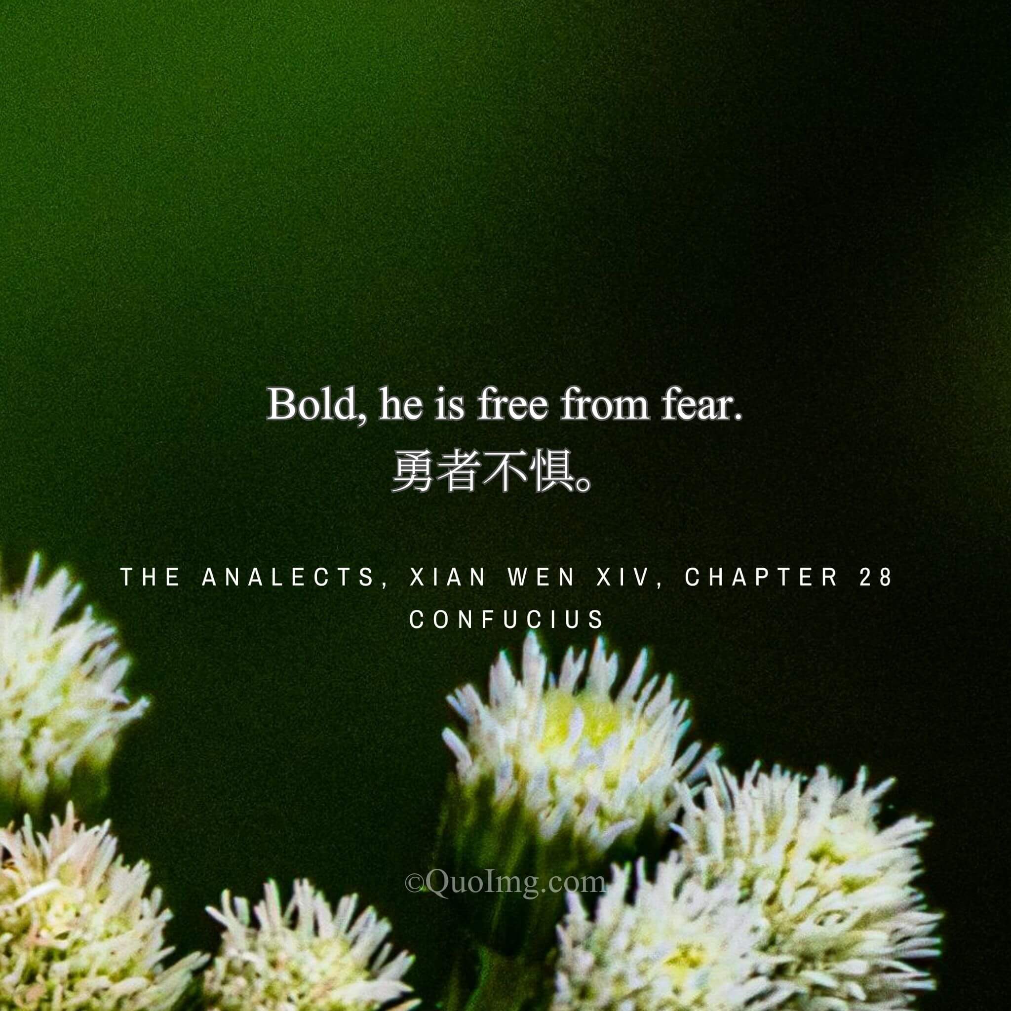 The Fortitude of the Brave: “The Brave Man Has No Fear”