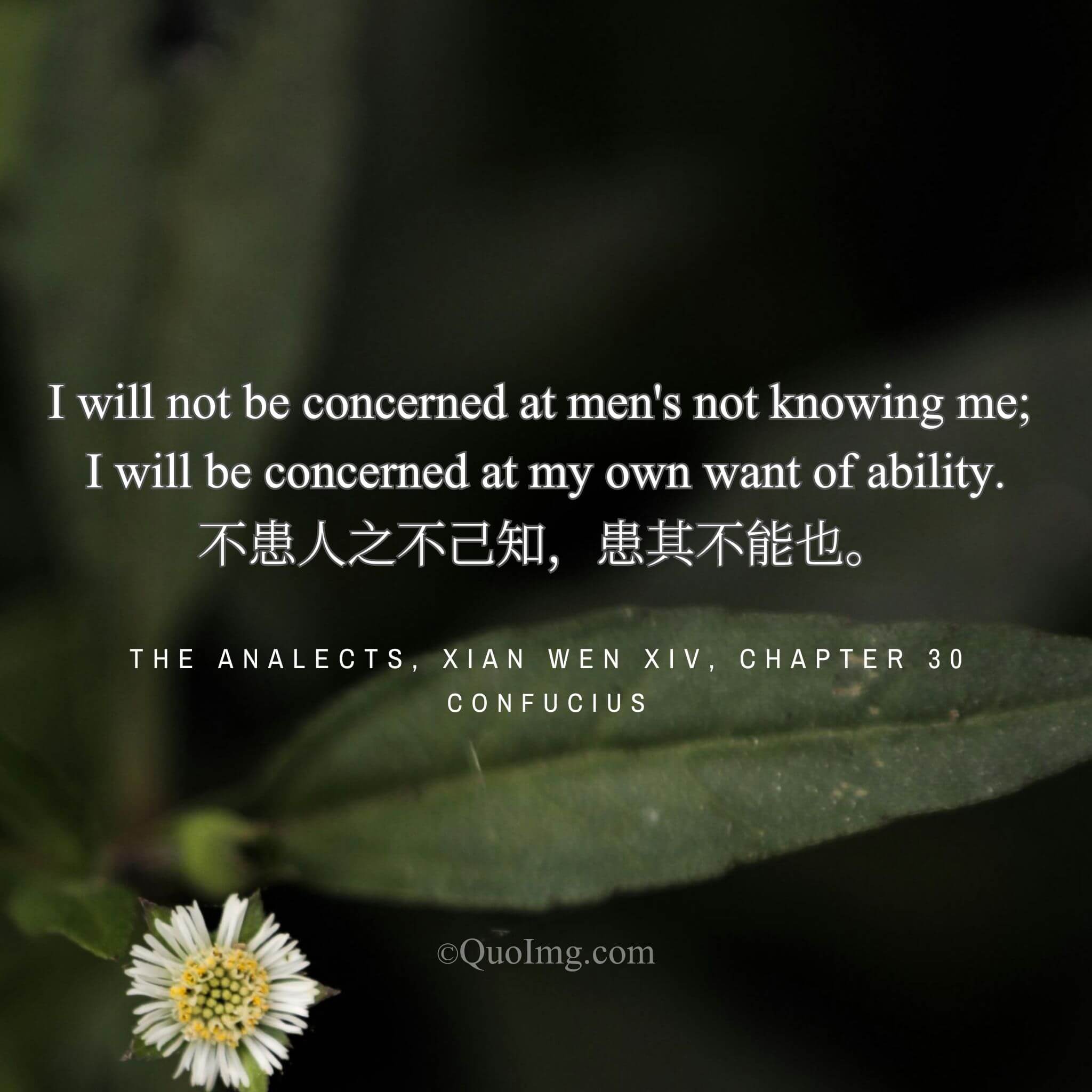 The True Concern: “Worry Not About Being Unknown, But About Being Incapable”