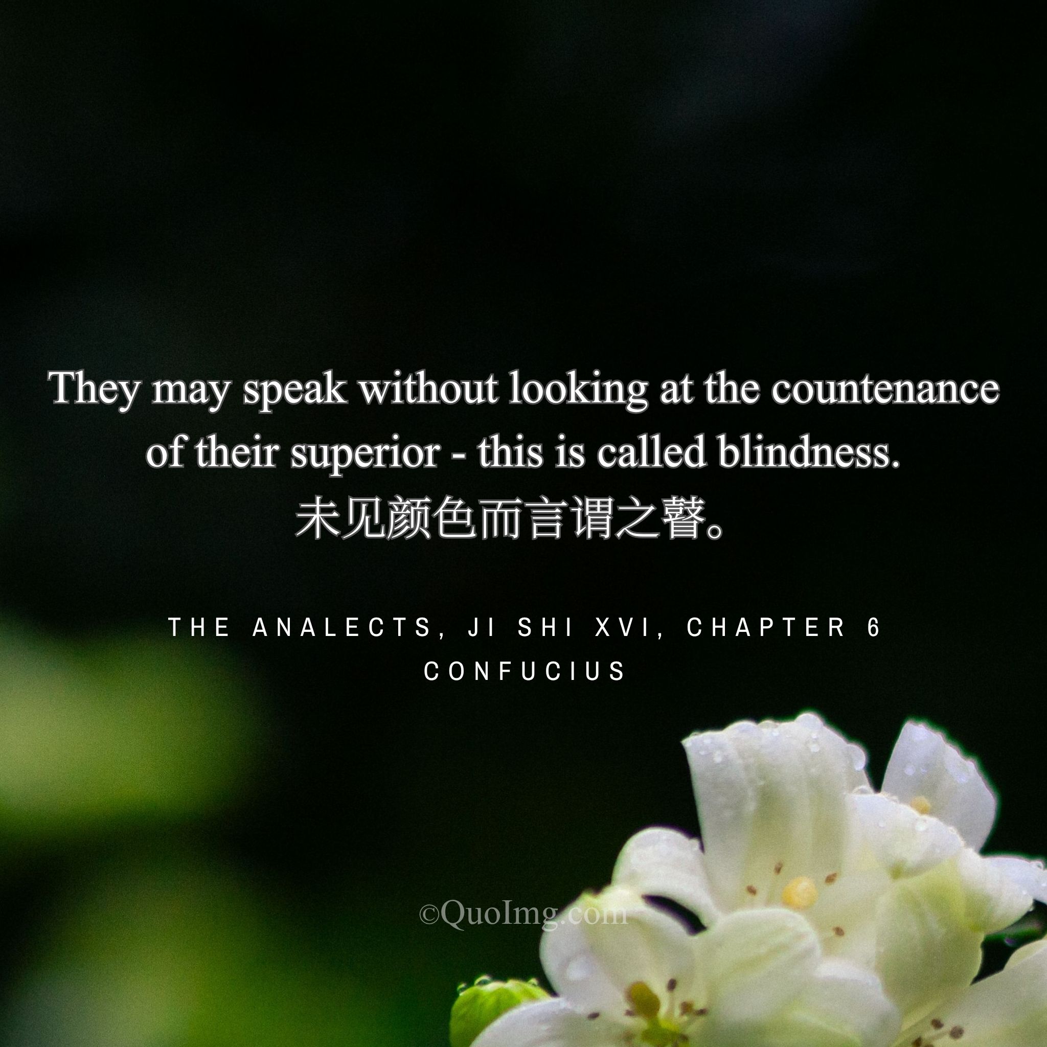 Confucius said: “To speak without observing the countenance is called blindness.”