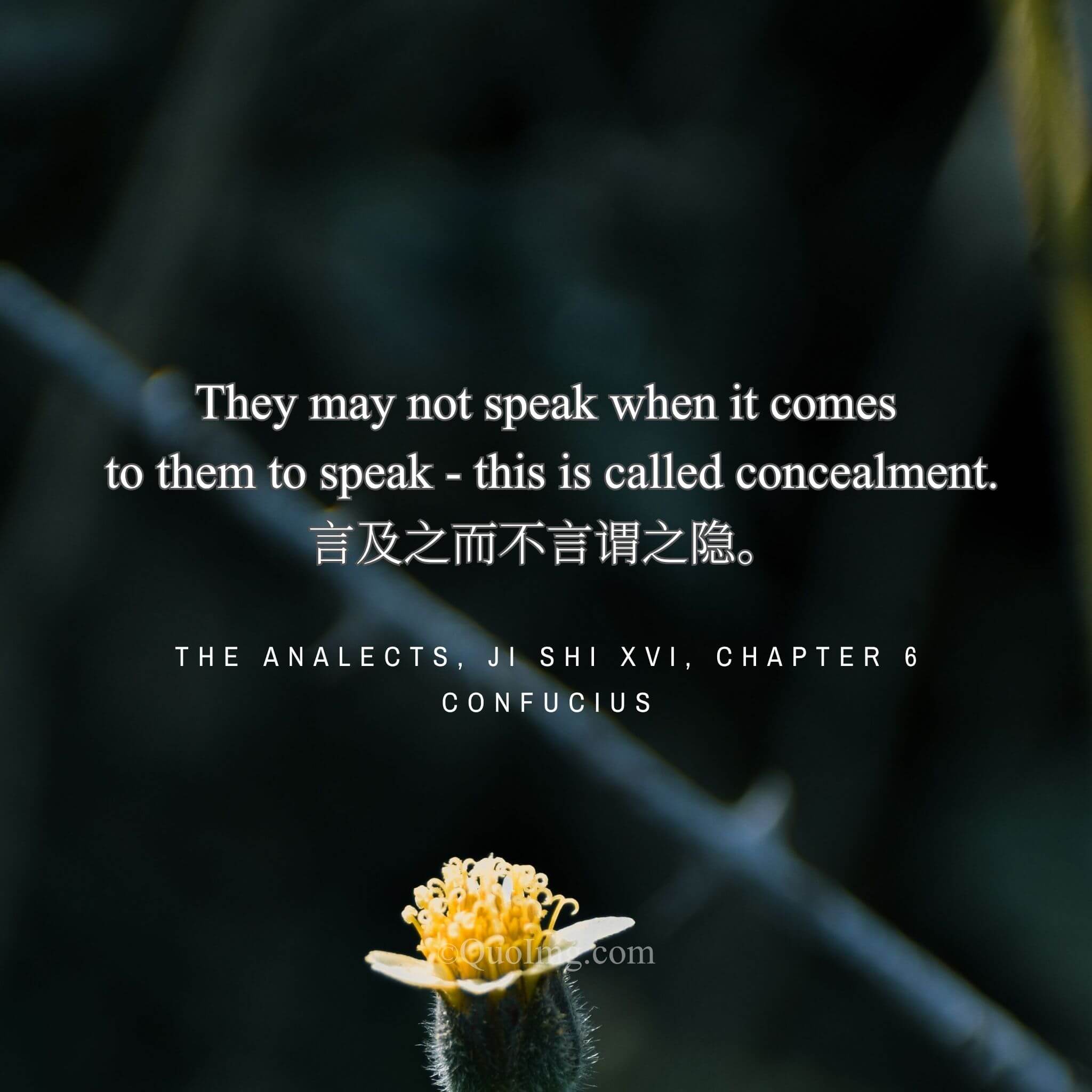The Error of Concealment: Confucius on the Sin of Silence