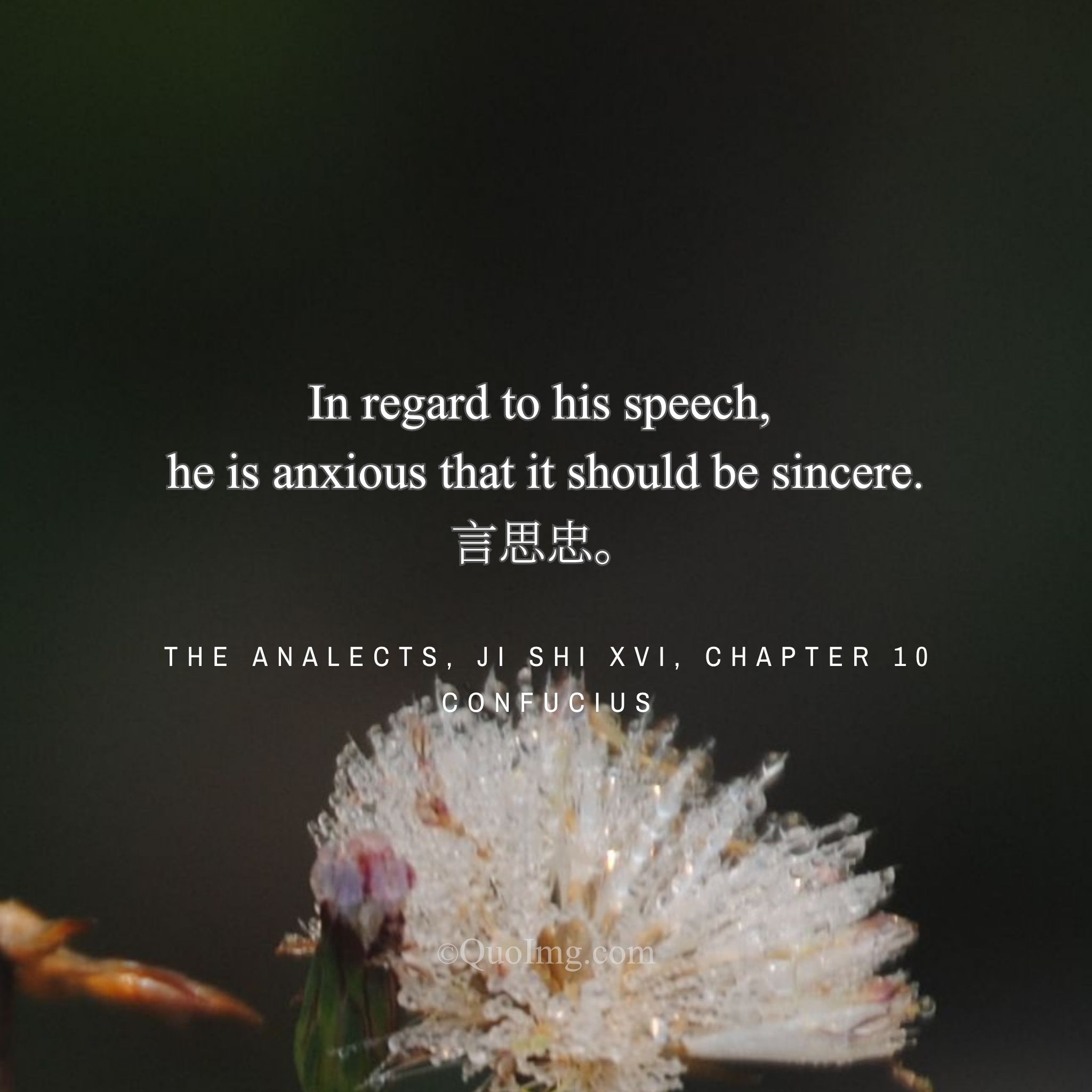 Confucius said: “In regard to his speech, he is anxious that it should be sincere.”