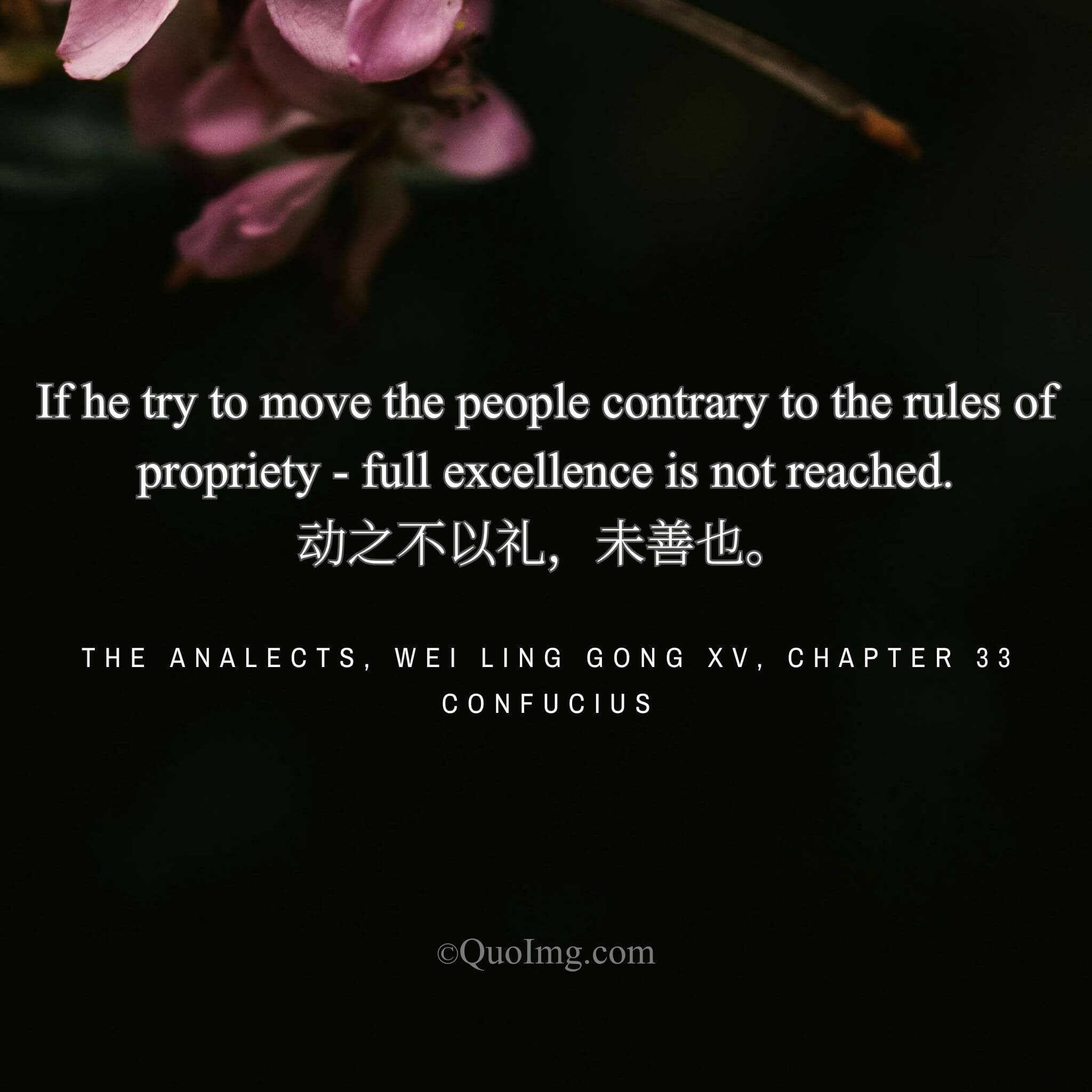 Confucius said: “To move the people not in accordance with ritual is not yet perfect goodness.”