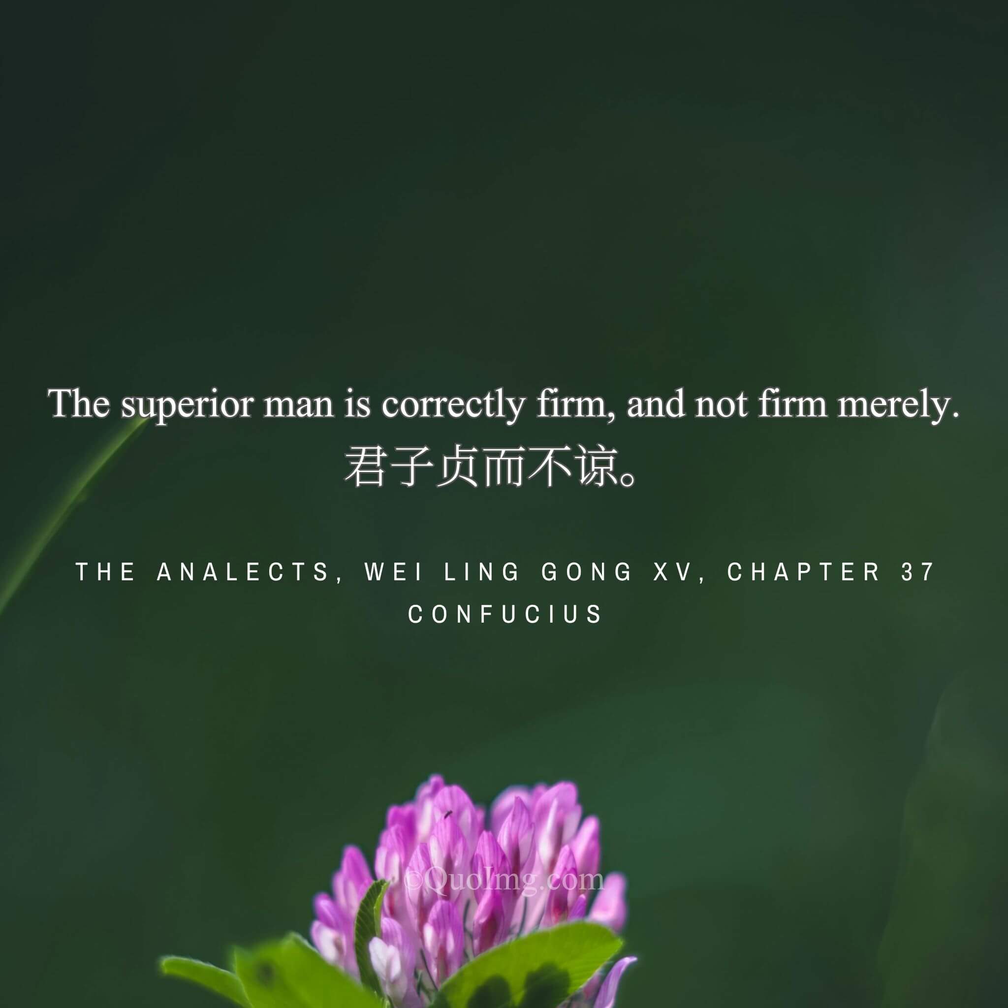 Confucius said: “The gentleman is firm in what is right, not merely obstinate.”