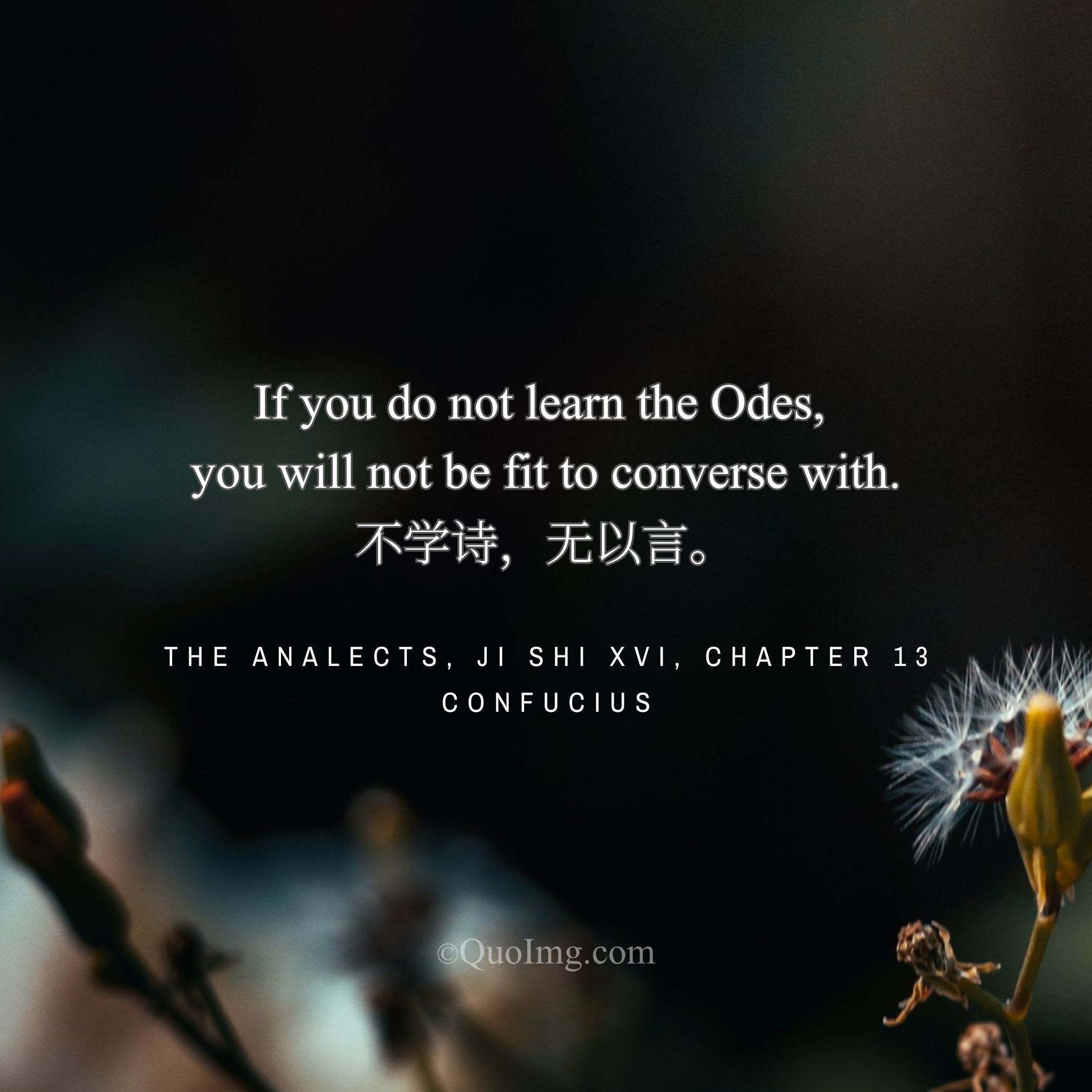 Confucius said: “If you do not learn the Odes, you will not be fit to converse with.”