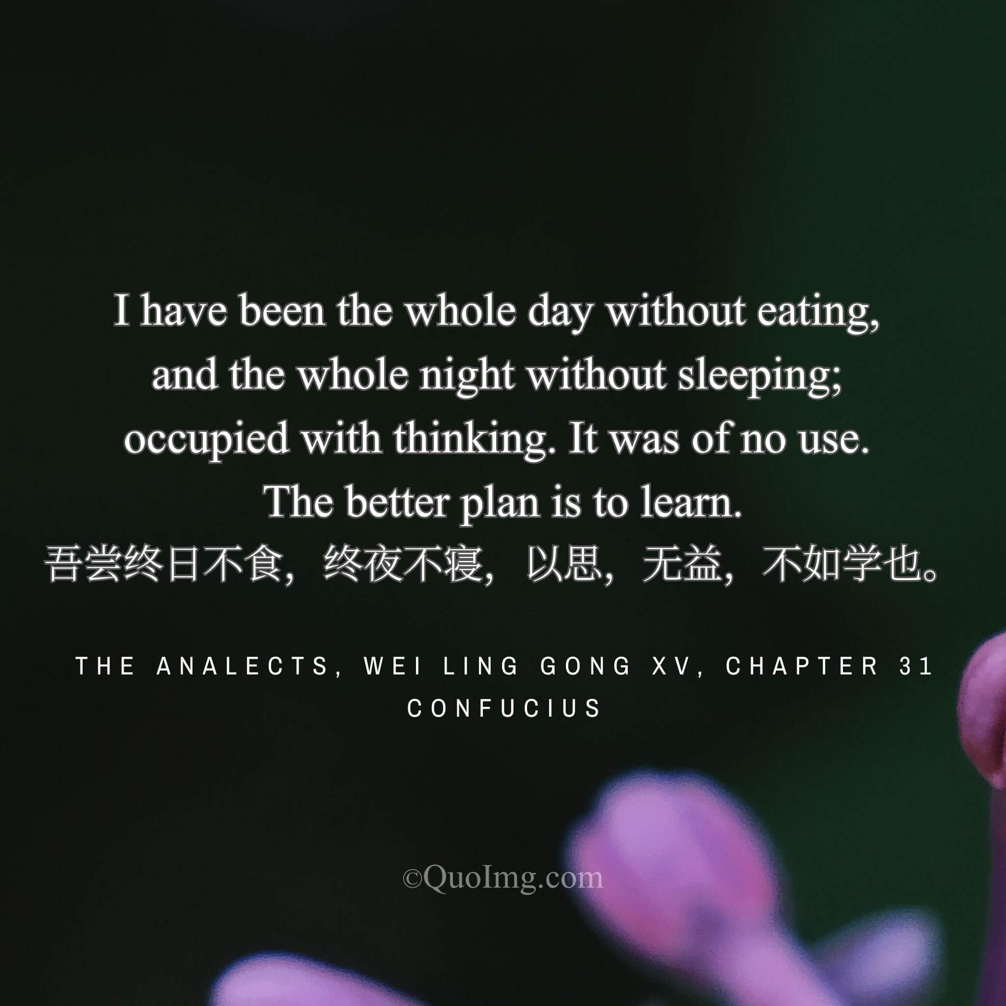The Futility of Thought Without Study: Confucius on the Peril of an Empty Mind