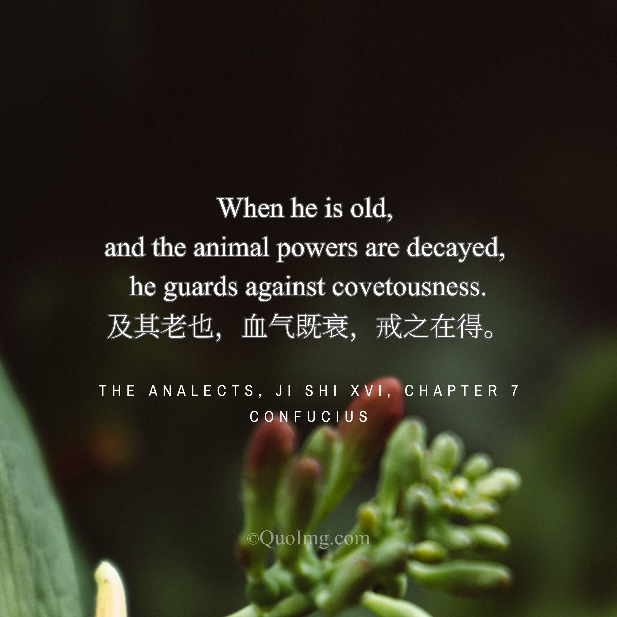 Confucius said: “In old age, when vitality is in decline, guard against covetousness.”