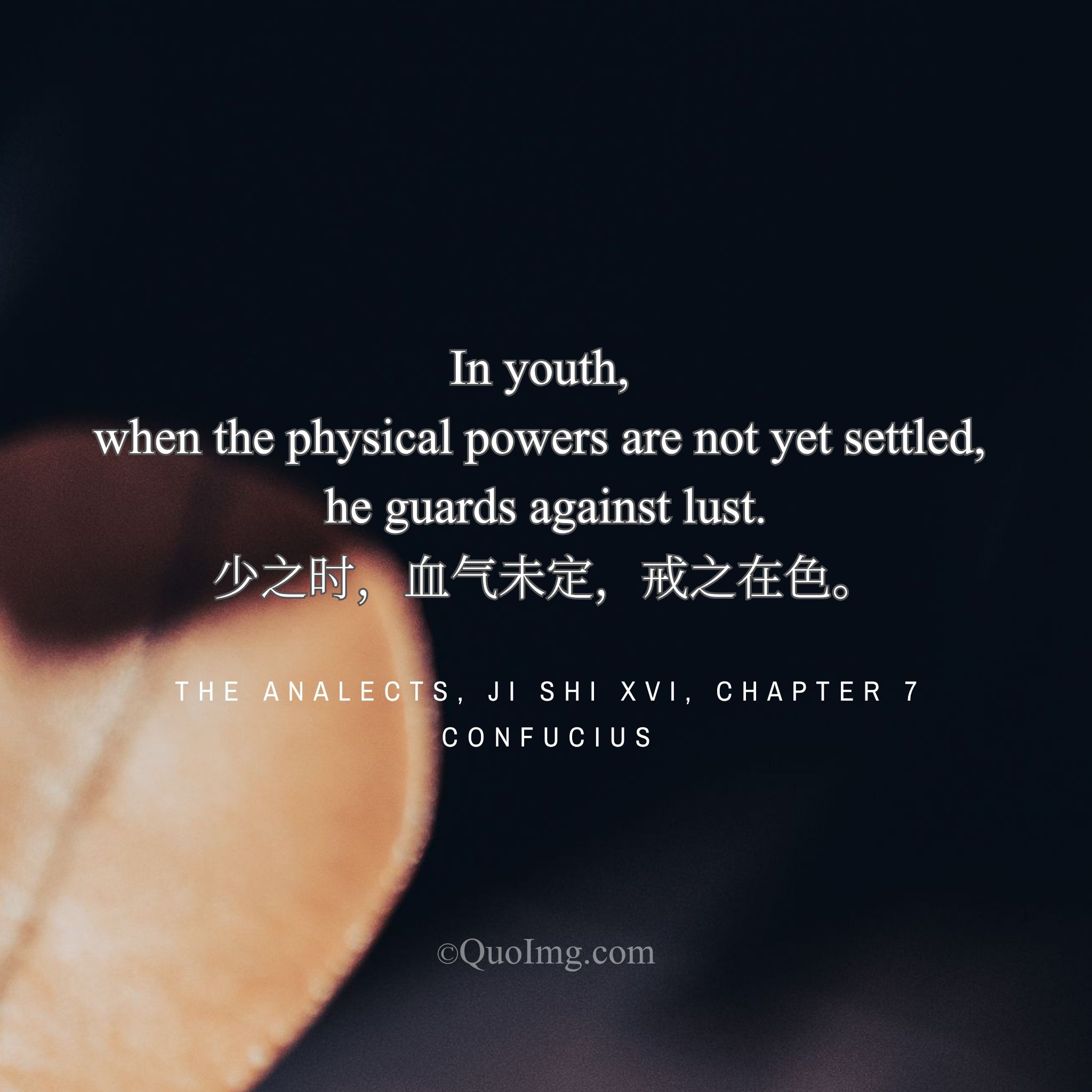 The Guard of Youth: Confucius on Why the Young Must Beware of Lust