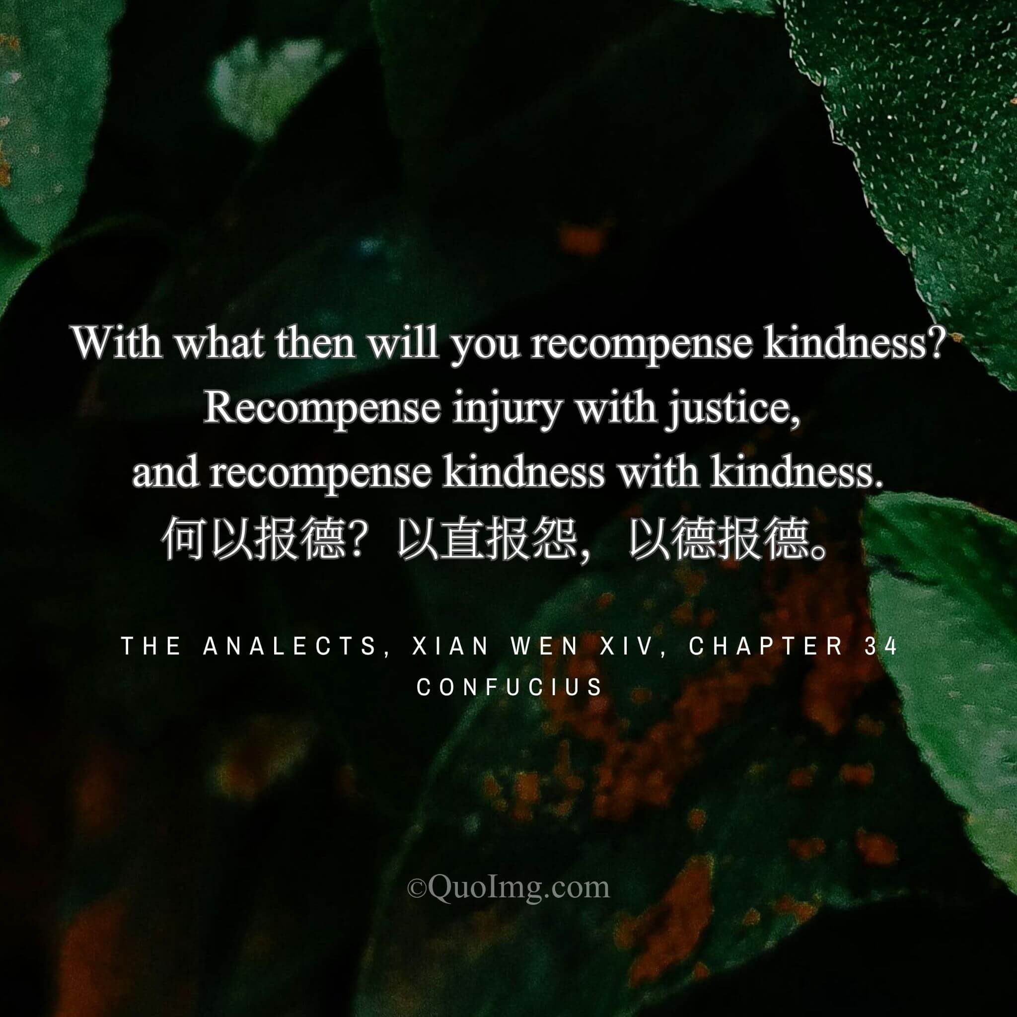 A Just and Kind Ethic: “How Then to Repay Goodness? Repay Wrong with Justice, Goodness with Goodness”