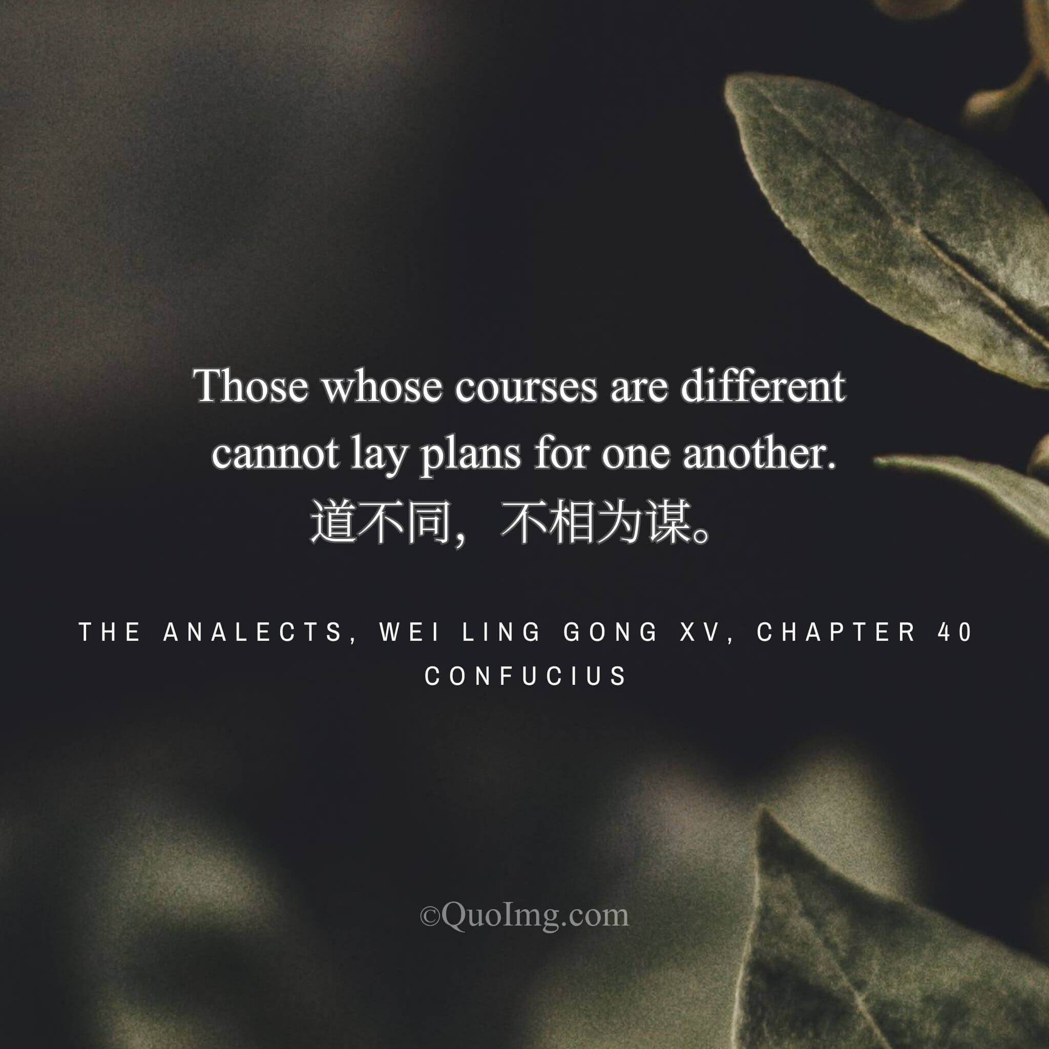Confucius said: “Those who follow different paths cannot make plans together.”