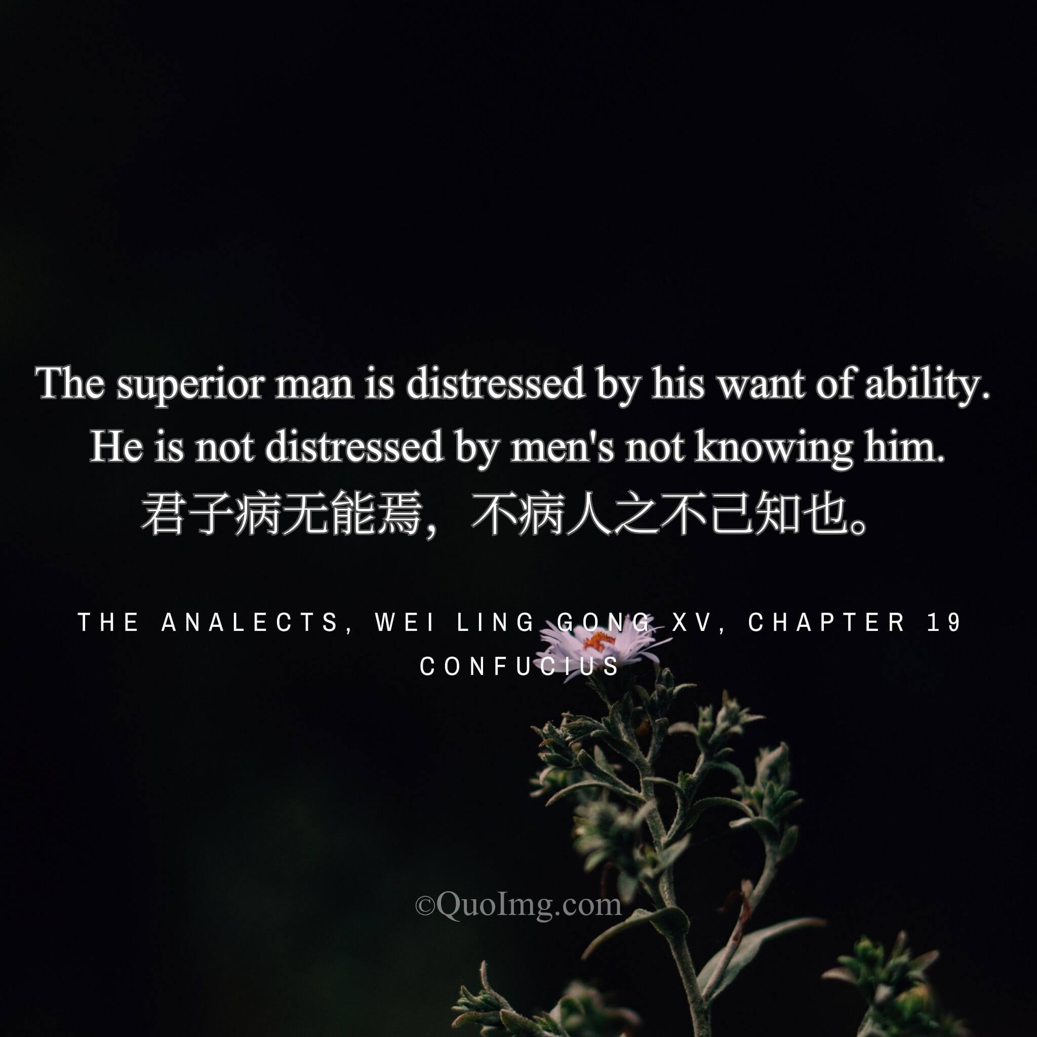 The Inner Compass: Confucius on Why the Noble Mind Looks Inward, Not Outward