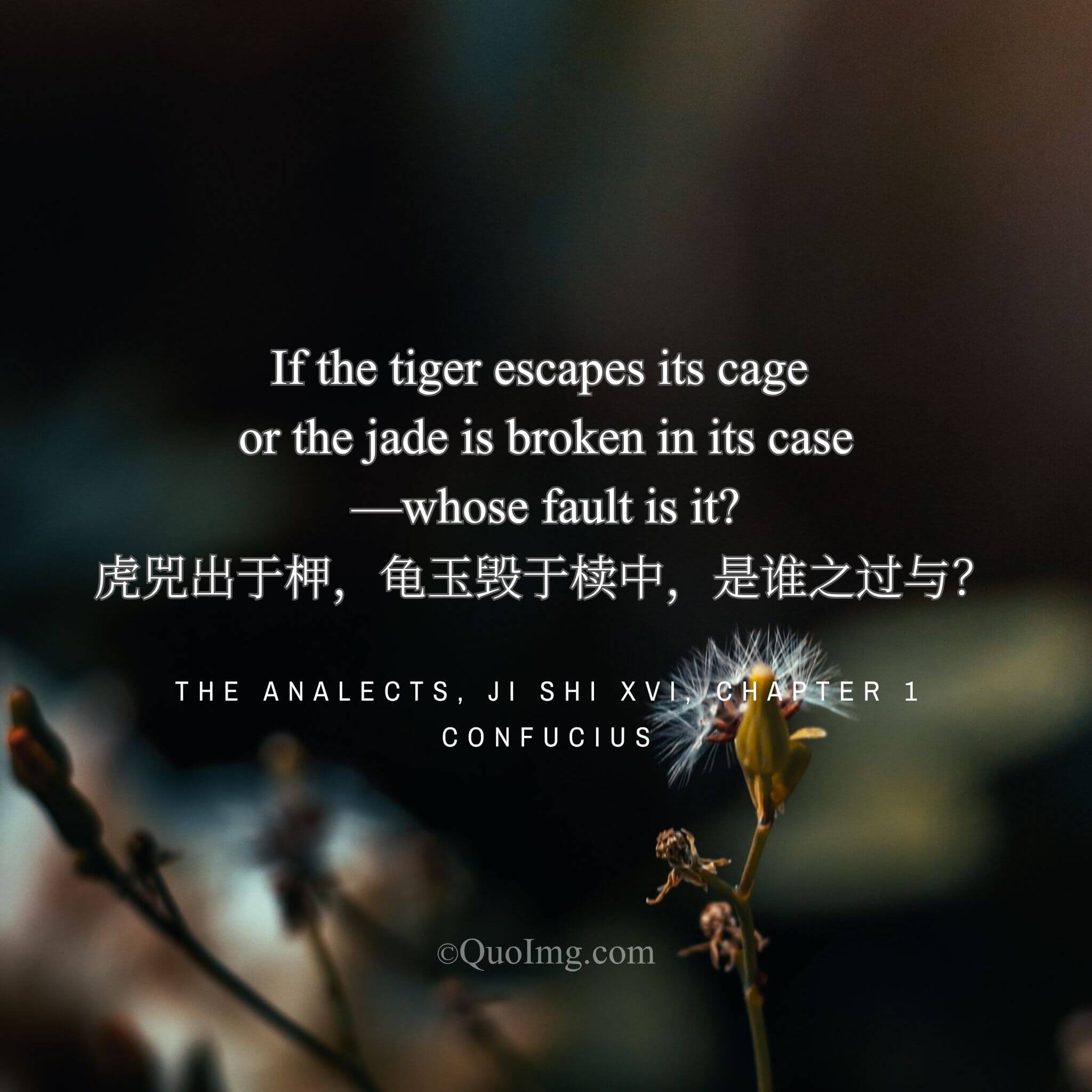 Confucius argued: “If a tiger escapes its cage or jade is broken in its case, whose fault is it?”