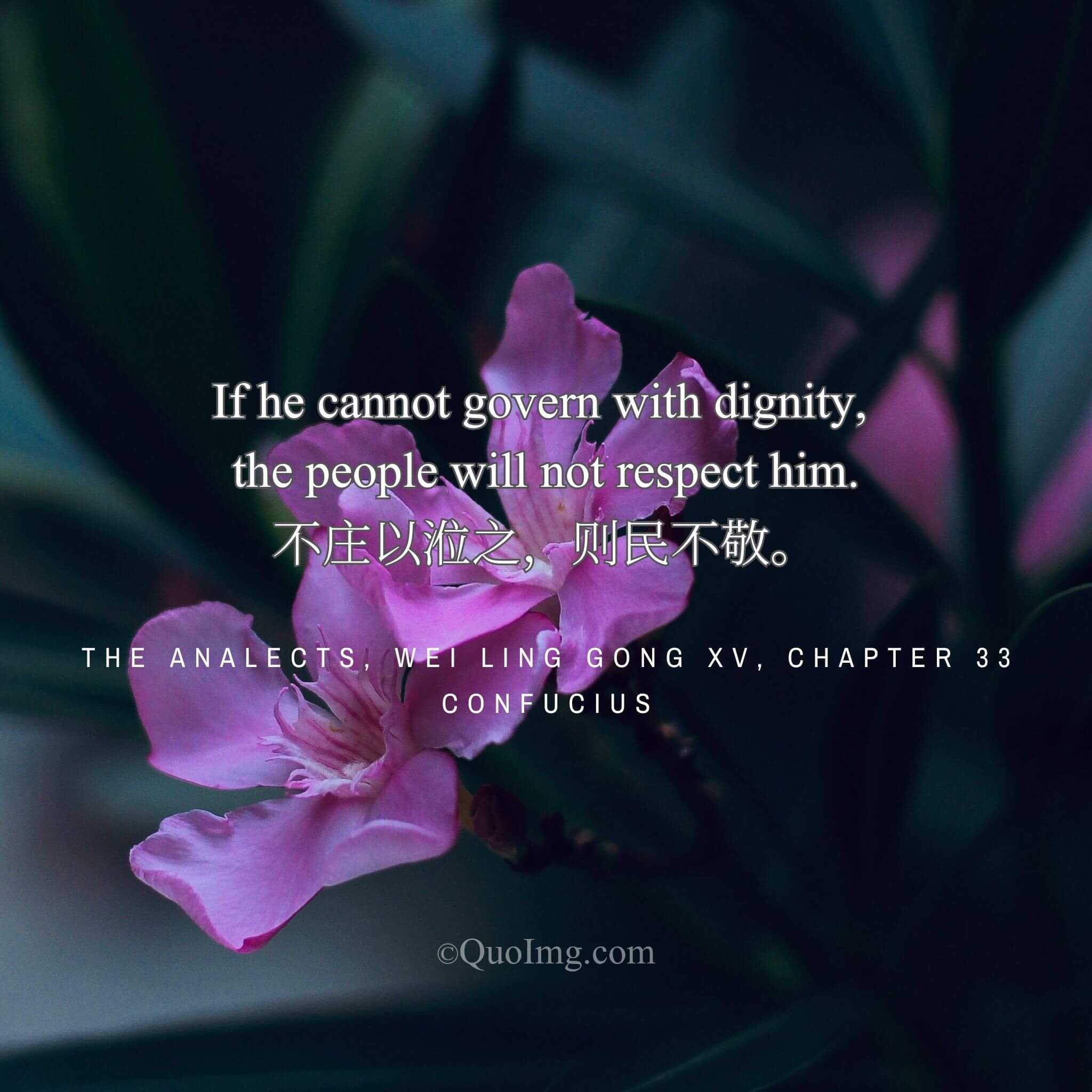 Confucius said: “If one does not govern with dignity, the people will not respect him.”