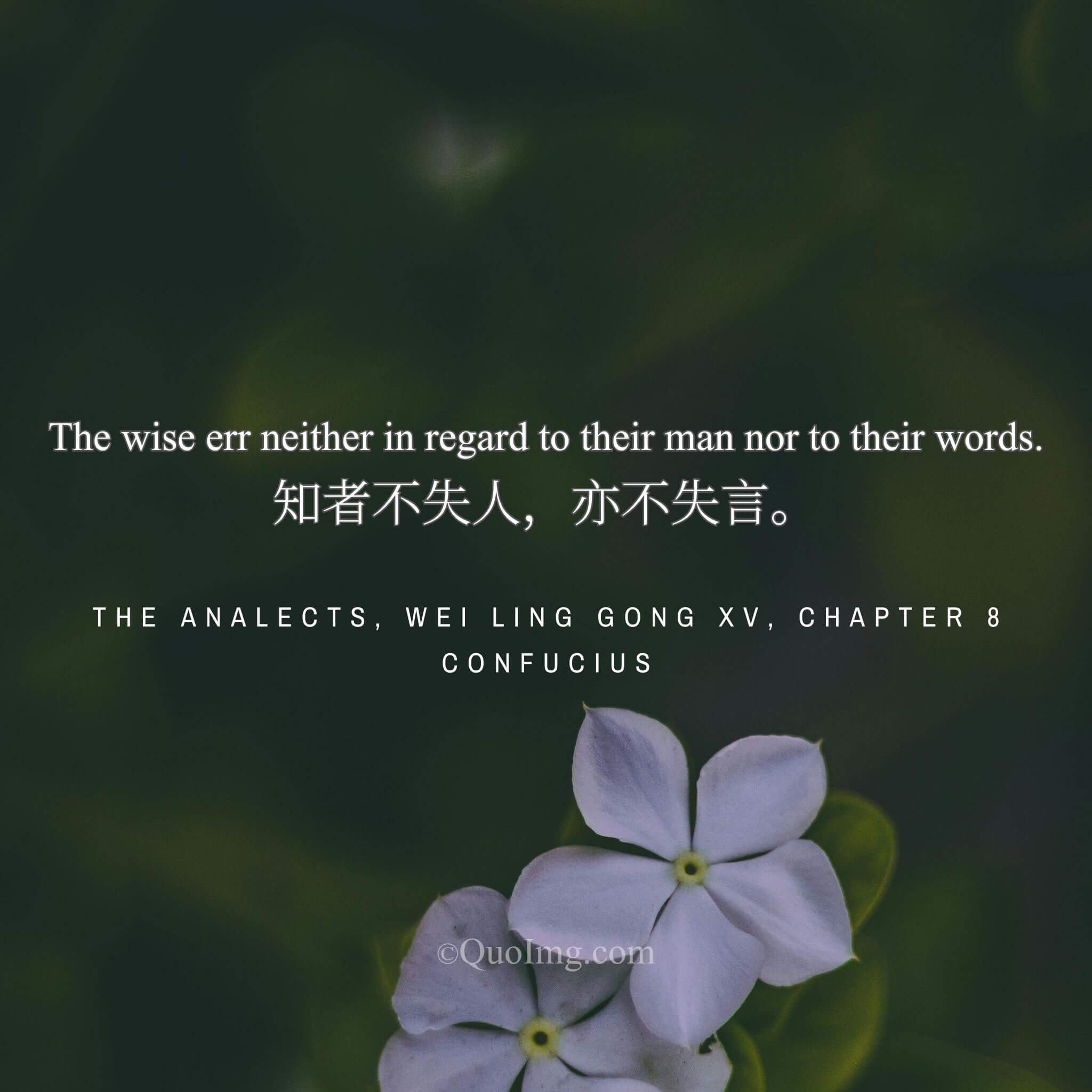 Confucius said: “The wise make neither error with people nor error in speech.”