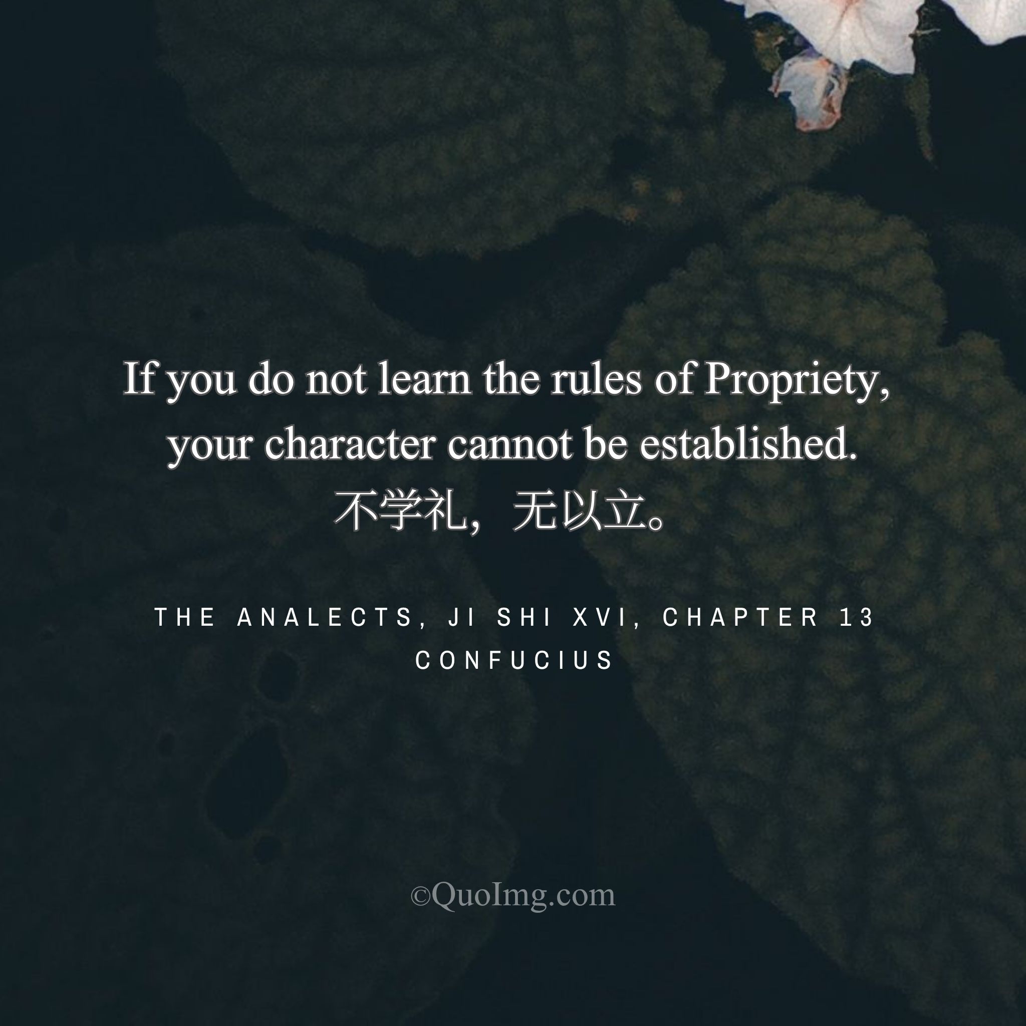 The Pillar of Character: Confucius on Why Propriety Precedes Standing Firm