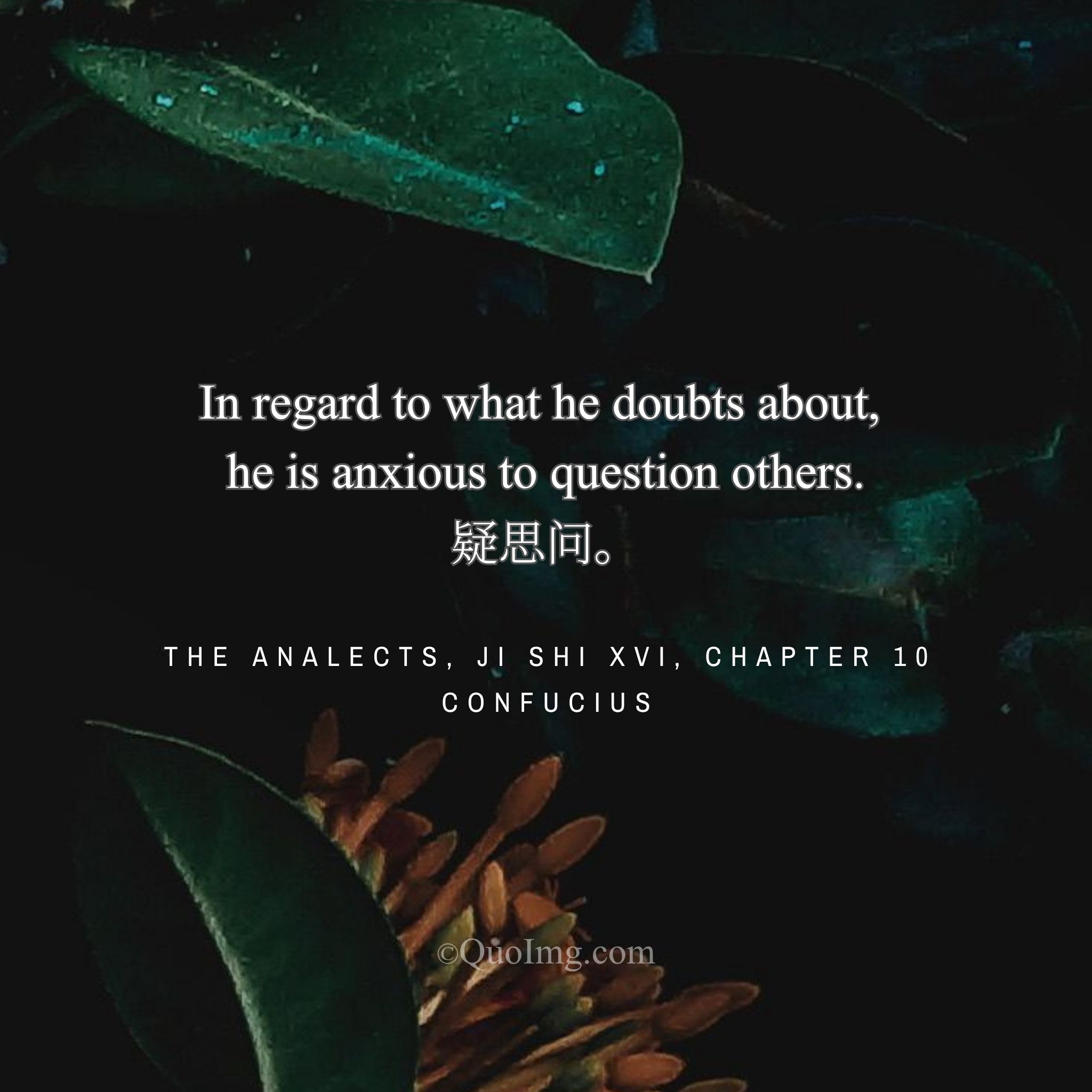Confucius said: “In regard to what he doubts about, he is anxious to question others.”