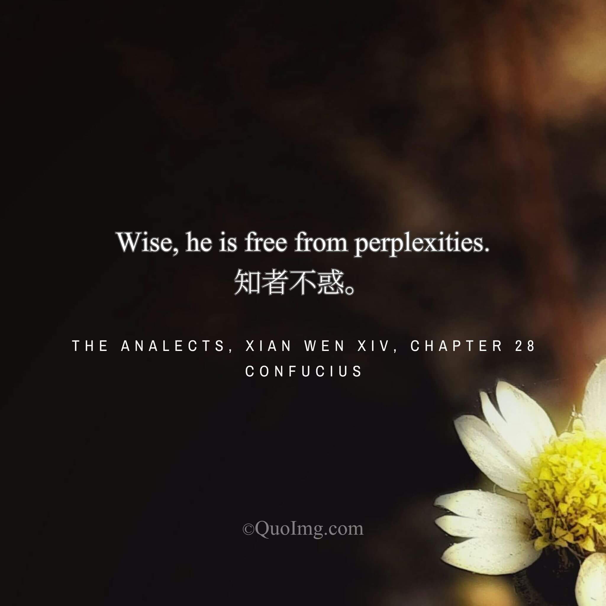 The Clarity of the Wise: “The Wise Man Has No Perplexities”